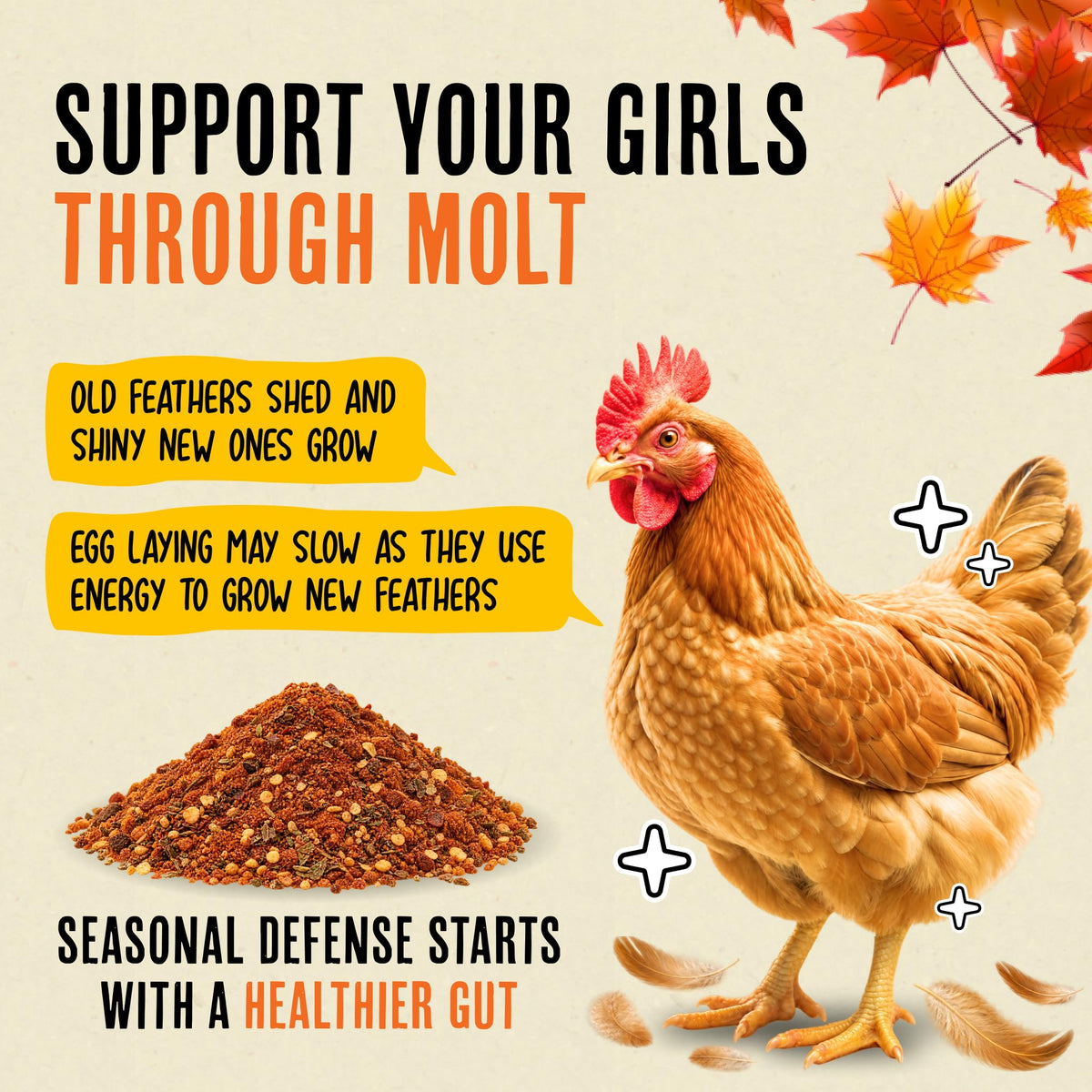 Roosty's Naturals Flock Armor Chicken De-wormer Chili Mix, 16oz