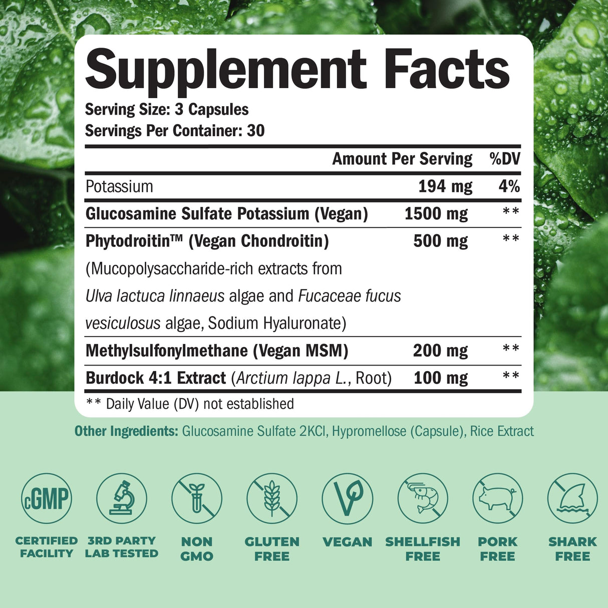 Vegan Glucosamine Chondroitin MSM - 100% Vegan Joint Support Supplement for Women & Men with Burdock and Glucosamine Sulfate 1500 mg. Used for Cartilage and Joint Health and Flexibility - 2 Pack