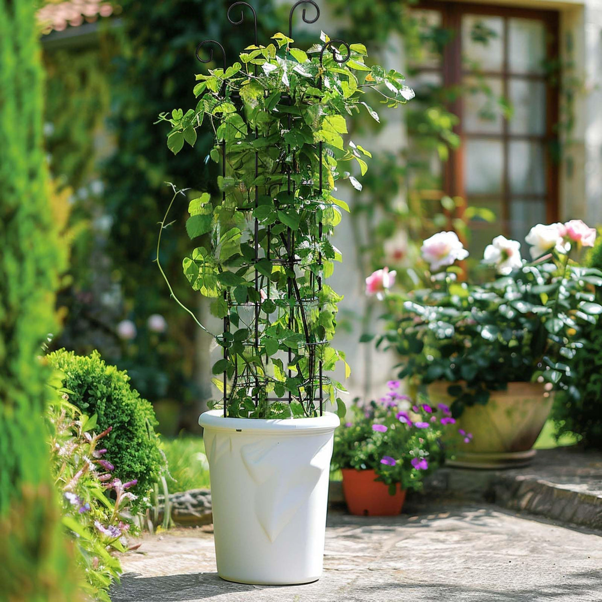 DYBEEDUAL 4 Pack 32 Inch Plant Trellis Outdoor Metal Trellis for Climbing Plants Indoor Garden Trellis for Climbing Plants Outdoor Wave Shape Metal Garden Trellis Houseplants Flowers Vine Ivy