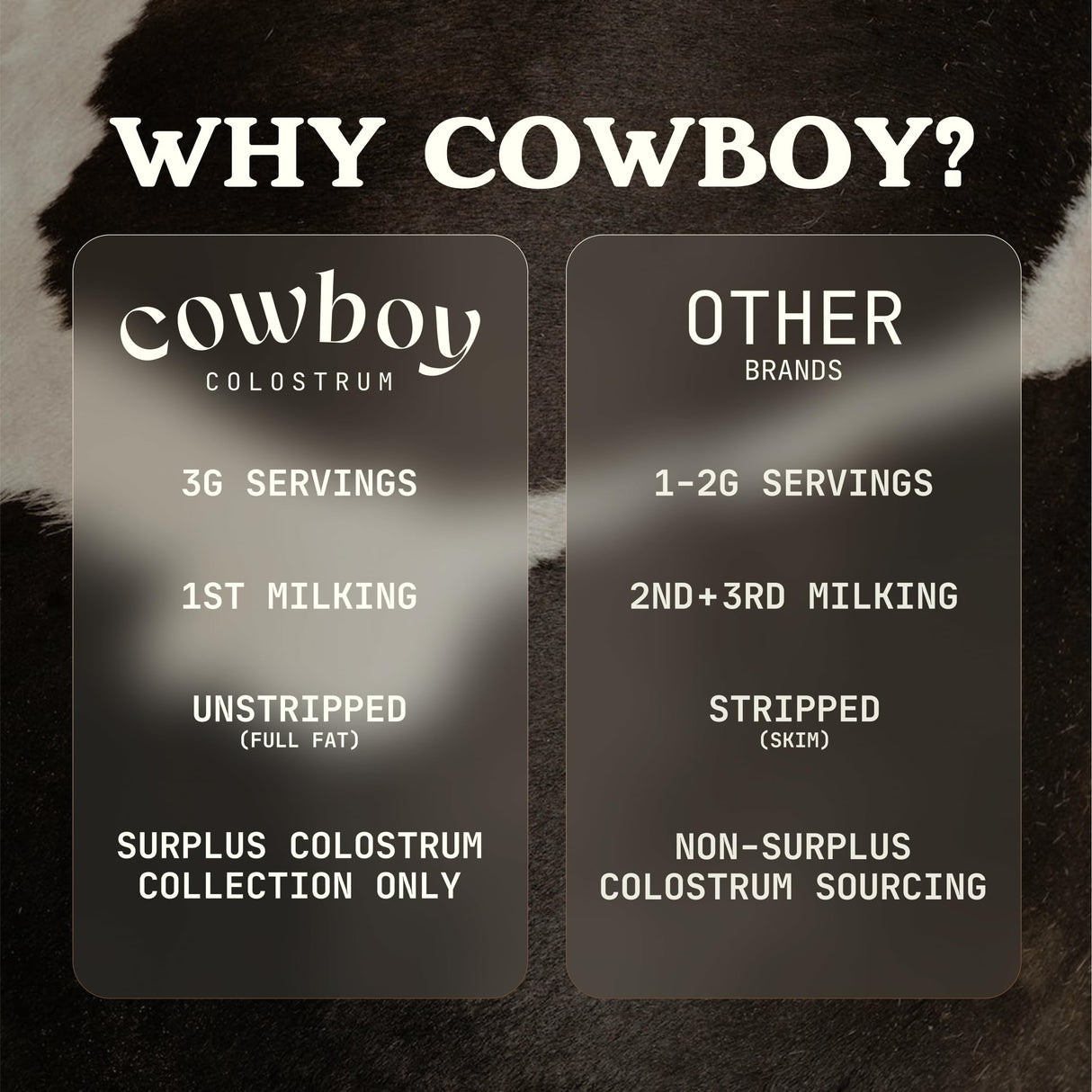 COWBOY COLOSTRUM Powder - Bovine Colostrum Powder for Women & Men - First Day Milking Whole Colostrum - Grass Fed Colostrum Supplement for Gut Health, Immunity, Skin & Hair (Unflavored, 40 Servings)