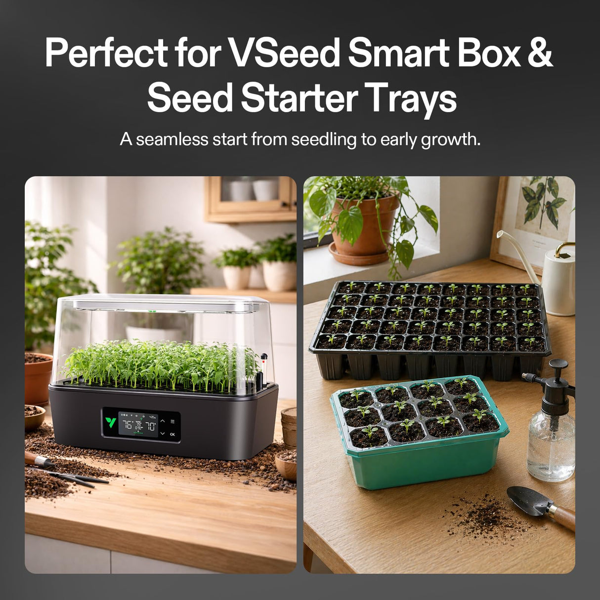 VIVOSUN Seed Rooter, Plant Starter Plugs, Support Robust Roots for Seedlings and Cuttings, 40 Cubes, Designed for VSeed Smart Box & Seed Starter Trays
