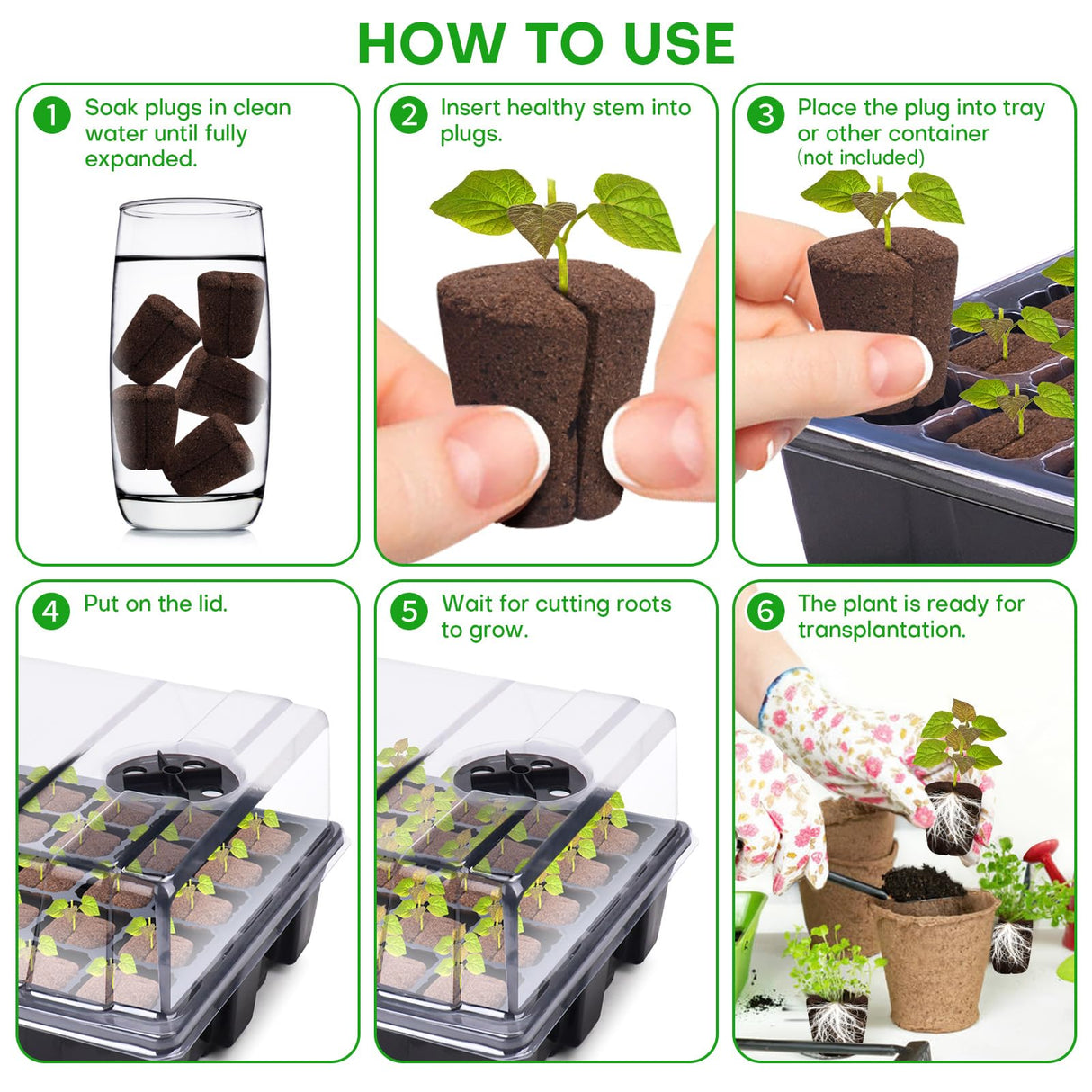 LAPOND 50 Pcs Grow Sponges,Replacement Plant Starter Plugs for Cuttings and Propagation,Great for Soil, Tray or Planting Pods, Promotes Herbs, Vegetables and Flowers Growth