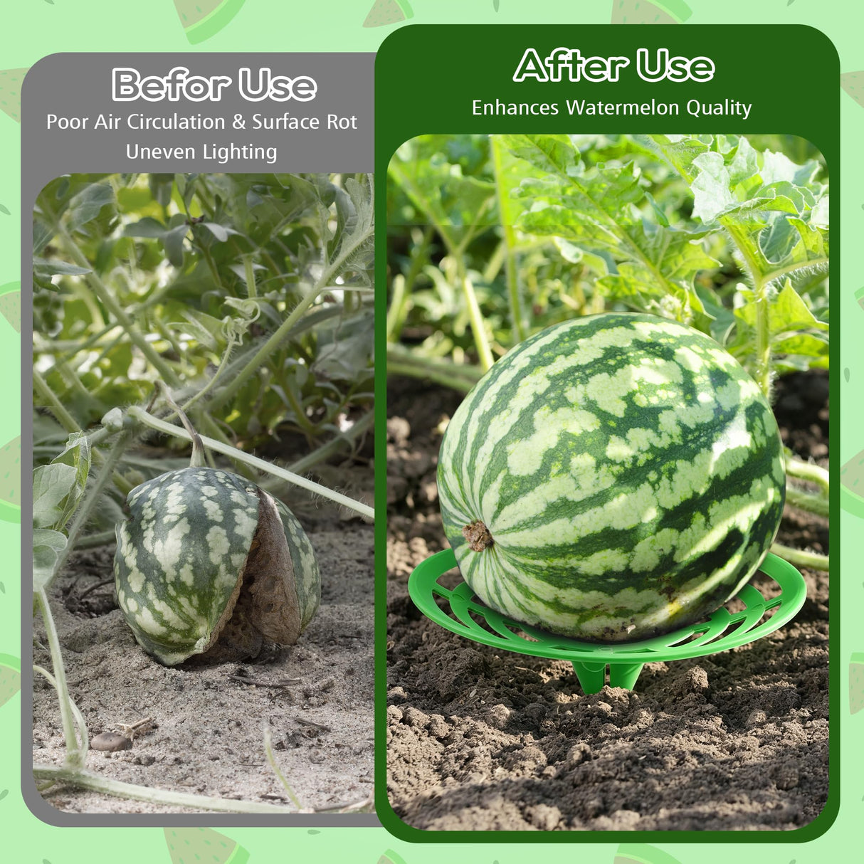 10 Packs Melon Cradles Trellis – Stable Fruit Support Stands to Keep Watermelons, Pumpkins & Cantaloupes Off Soil, Melon Holder Growing Frame Reusable Garden Plant Holders for Raised Beds & Backyard
