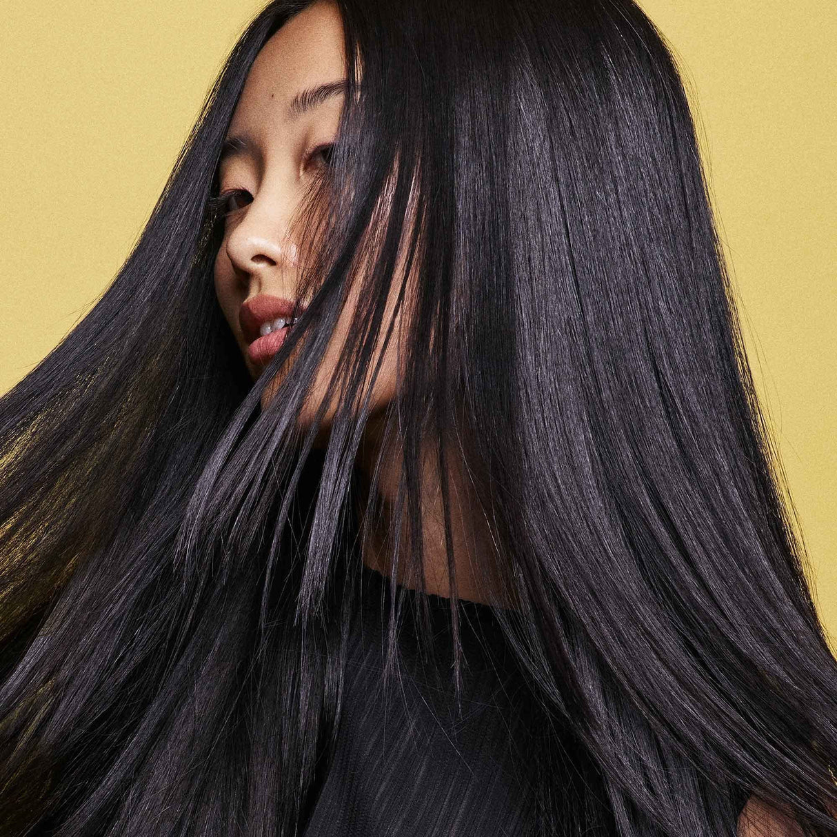 Hair Alchemy Discovery Set