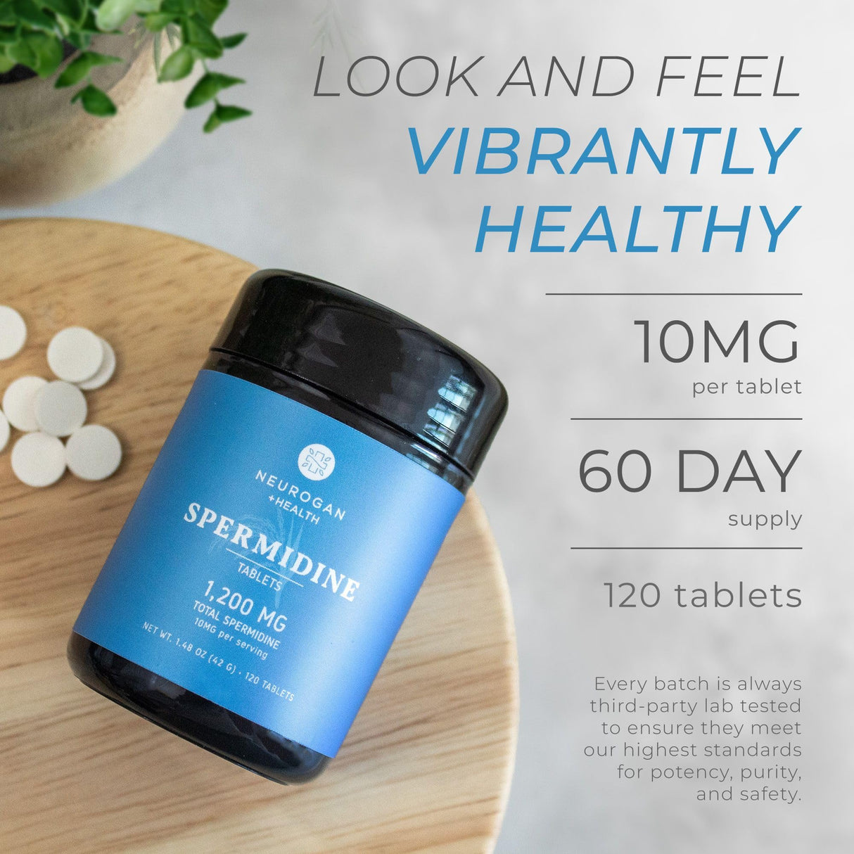 Neurogan Spermidine Supplement - 1200mg - 99% Pure 100x More Potent Than Rice & Wheat Germ Extract - for Cellular Health, Anti-Aging & Energy* - Made in USA - 10MG Per Serving - 120 Servings