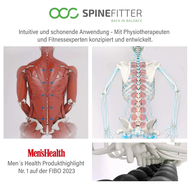 SPINEFITTER by SISSEL Blue | Massage Device for Back & Balance | Back Trainer Relieves Tension & Blockages | Ideal for Pilates and Yoga | for Relaxation of The Spine | for Home & Professional Use