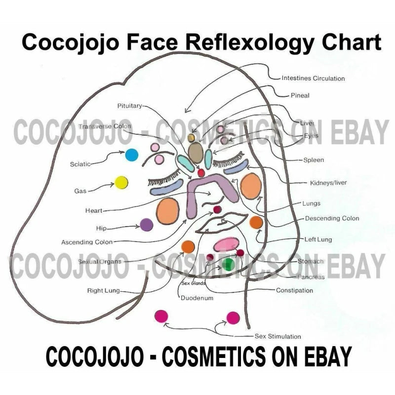 cocojojo Pure light emu oil blend with argan moroccan, jojoba, sweet almond massage oil - 128 oz / 1 Gallon