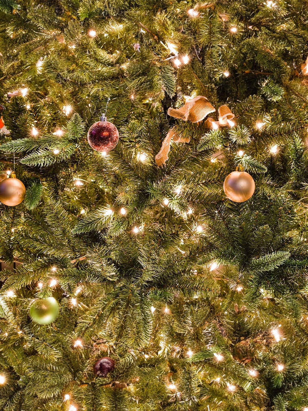 Twinkle Star 2 Pack Outdoor Christmas Lights, Total 33 FT 100 LED Battery Operated Christmas Lights with 8 Modes, Xmas Tree Lights Waterproof for Patio Garden Party Wedding Holiday Decor Warm White