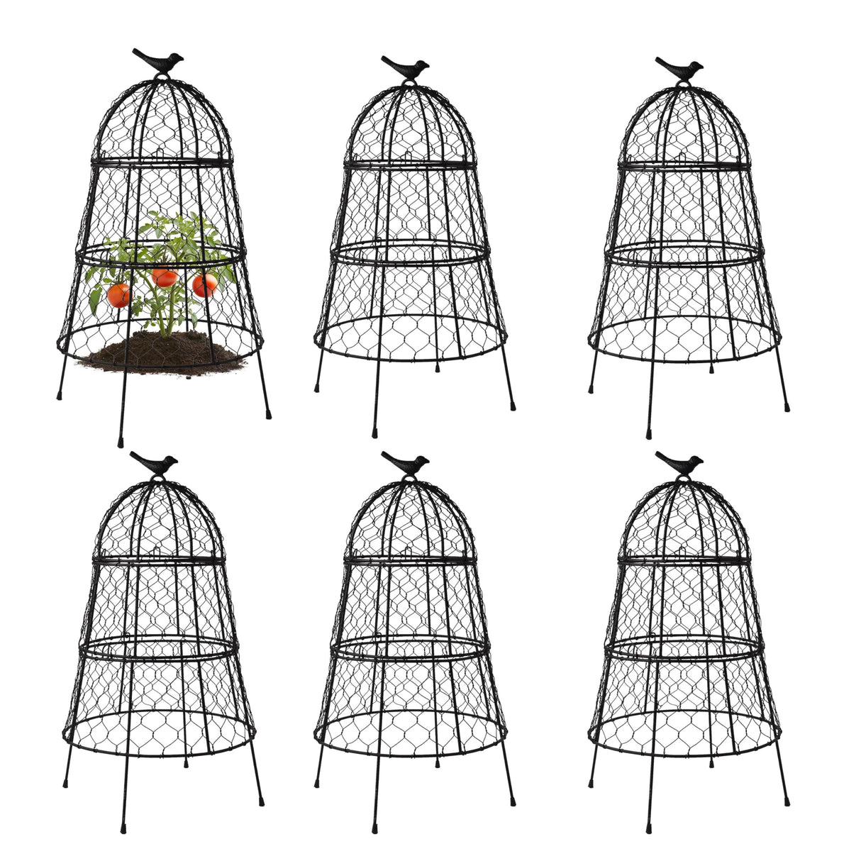 Garden Cloches for Plants, Large Plant Protectors from Animals, Pack 6