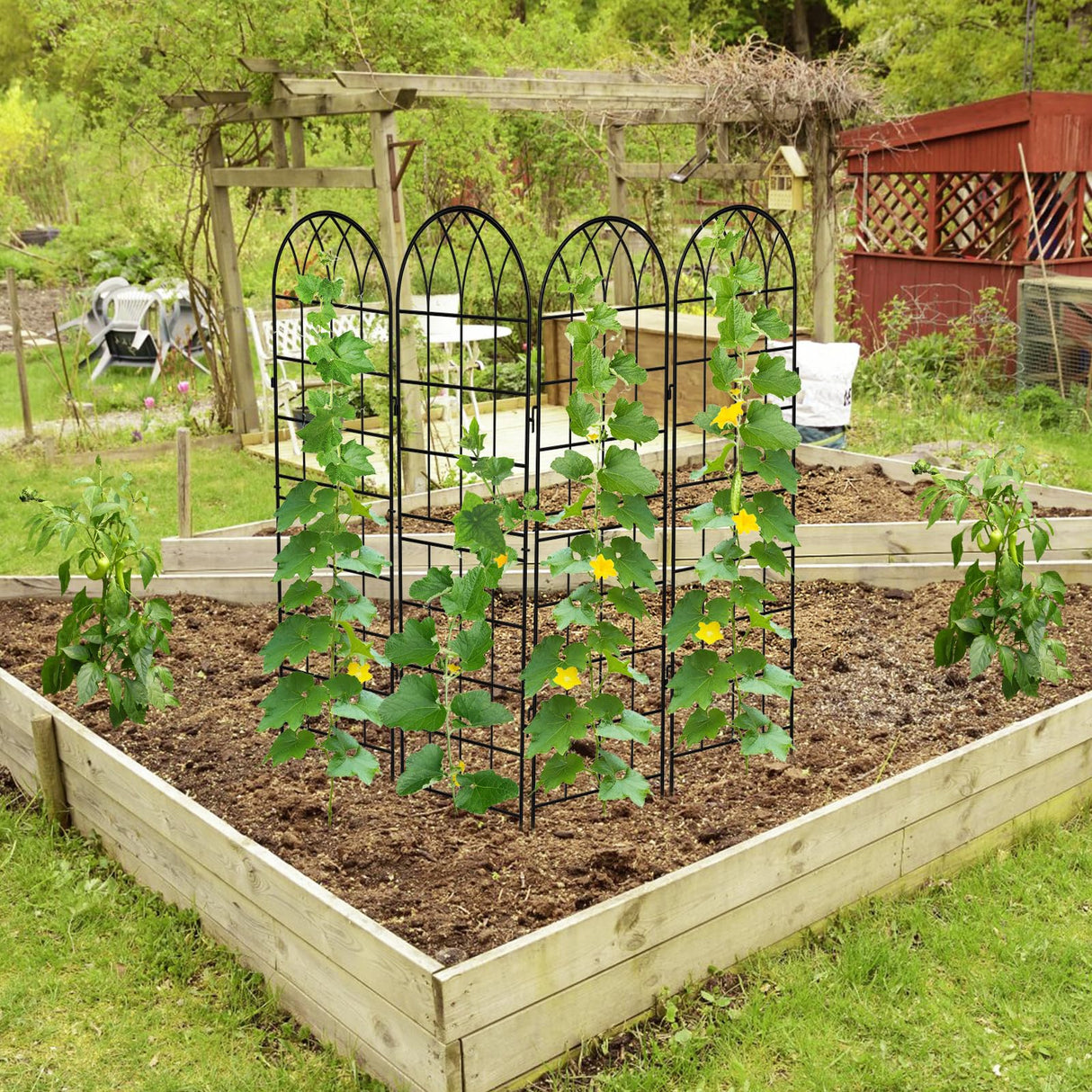 DoCred 4 Pack Garden Trellis for Climbing Plants, 59 Inch Metal Trellis
