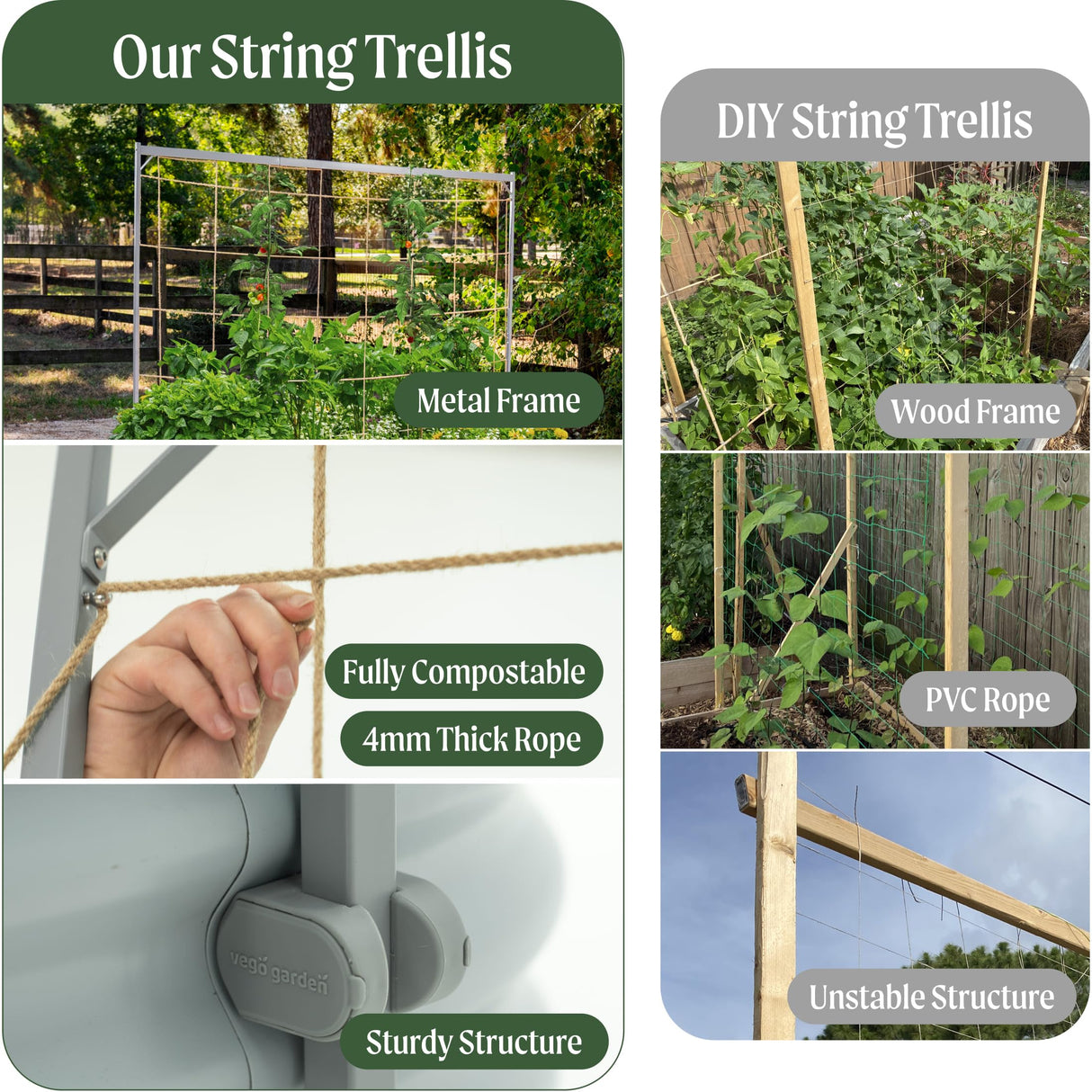 Vego Garden 8.0ft Long Tomato Metal Frame Trellis, Garden Trellis for Climbing Plants Like Cucumber Beans Tomatoes & Vines, (Garden Beds Not Included)