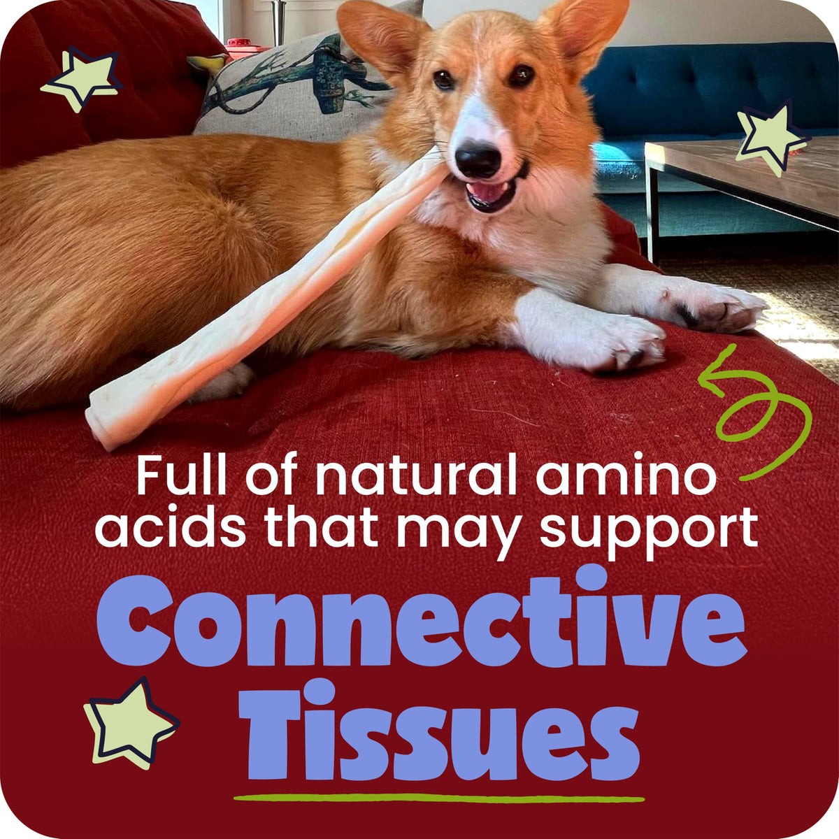 Pawstruck 12 Inch Beef Collagen Sticks Chews for Medium & Large Dogs 5 Pack