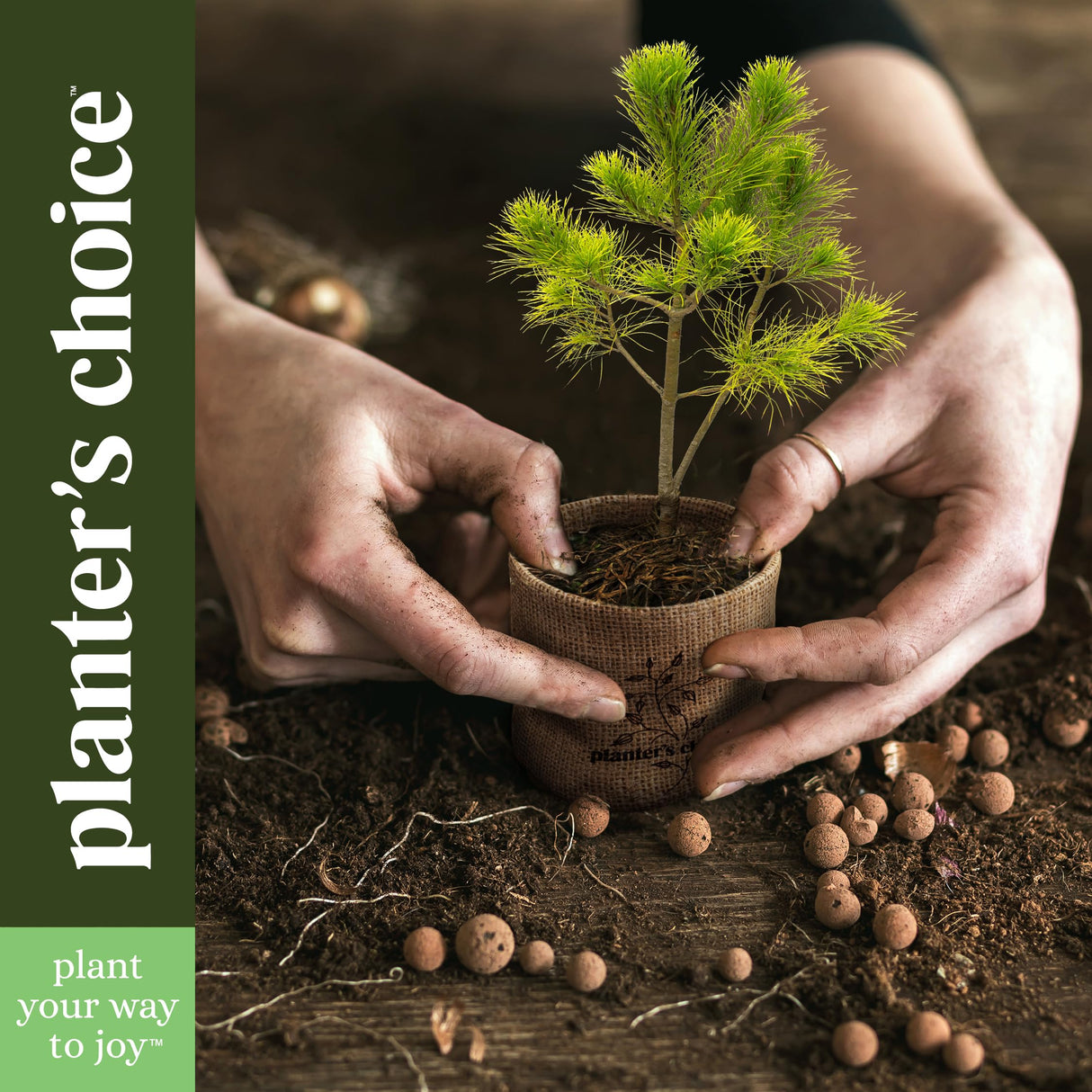 Planter's Choice Bonsai Tree Starter Kit - Unique Gifts for Women, Men - Christmas Gifts for Adults - Indoor Live House Plants - DIY Crafts for Adults Craft Kits - Hobby Gift for Gardening Lovers