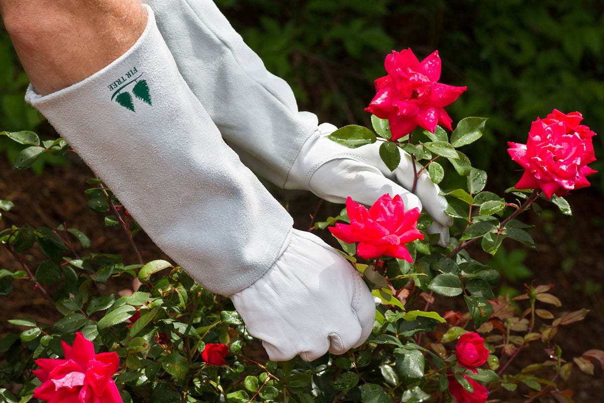 Leather Gardening Gloves by Fir Tree. Premium Goatskin Gloves With Cowhide Suede Gauntlet Sleeves. Perfect Rose Garden Gloves. Men's and Women's Sizes. M-8 (See Size Chart Photo)