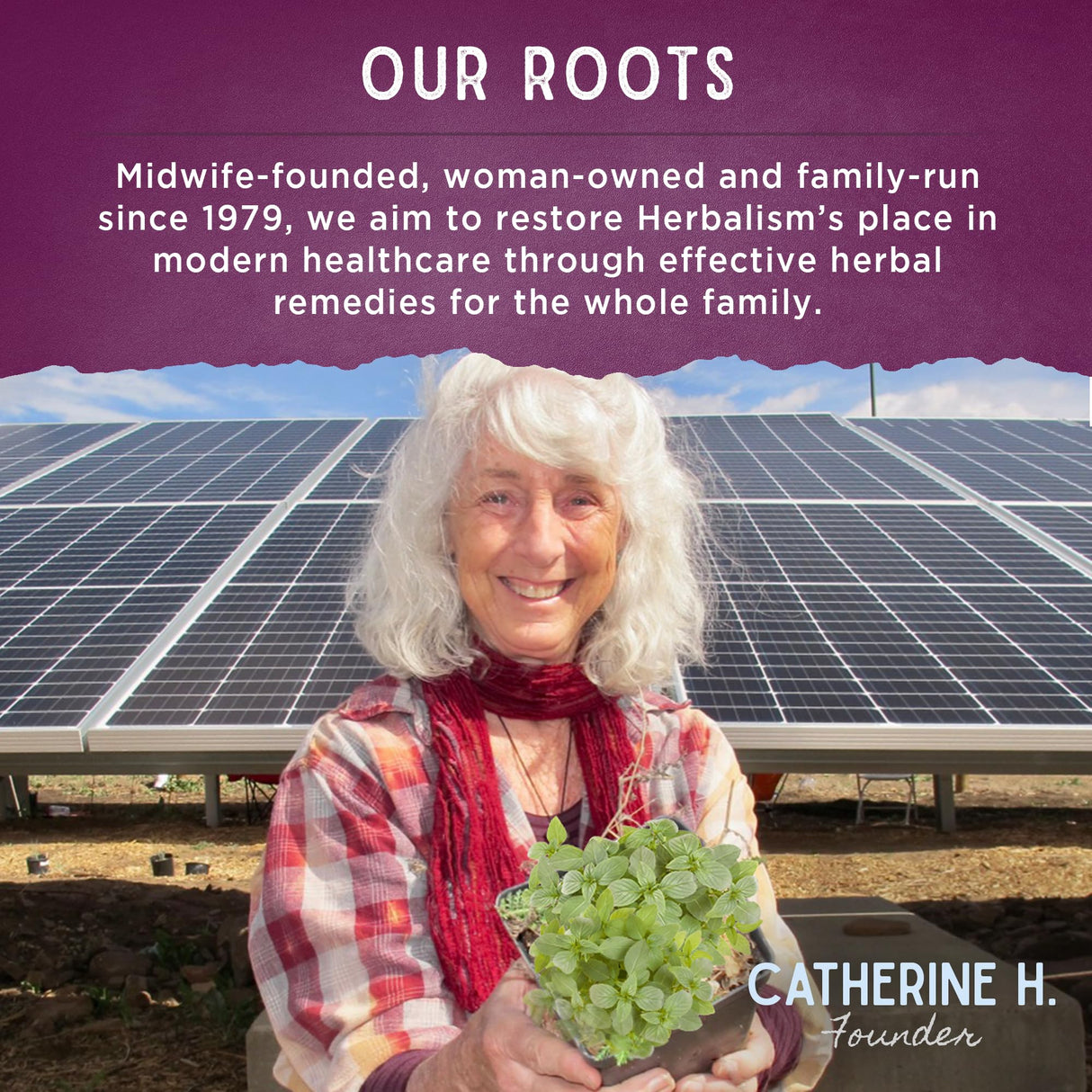 WishGarden Herbs Flow Stopper Lingering Cycle (Wombstringe) - Plant-Based Herbal Formula w/Shepherd's Purse & Witch Hazel, Moderates Breatkthrough Bleeding, Blood Flow & Spotting Between Cycles, 2oz