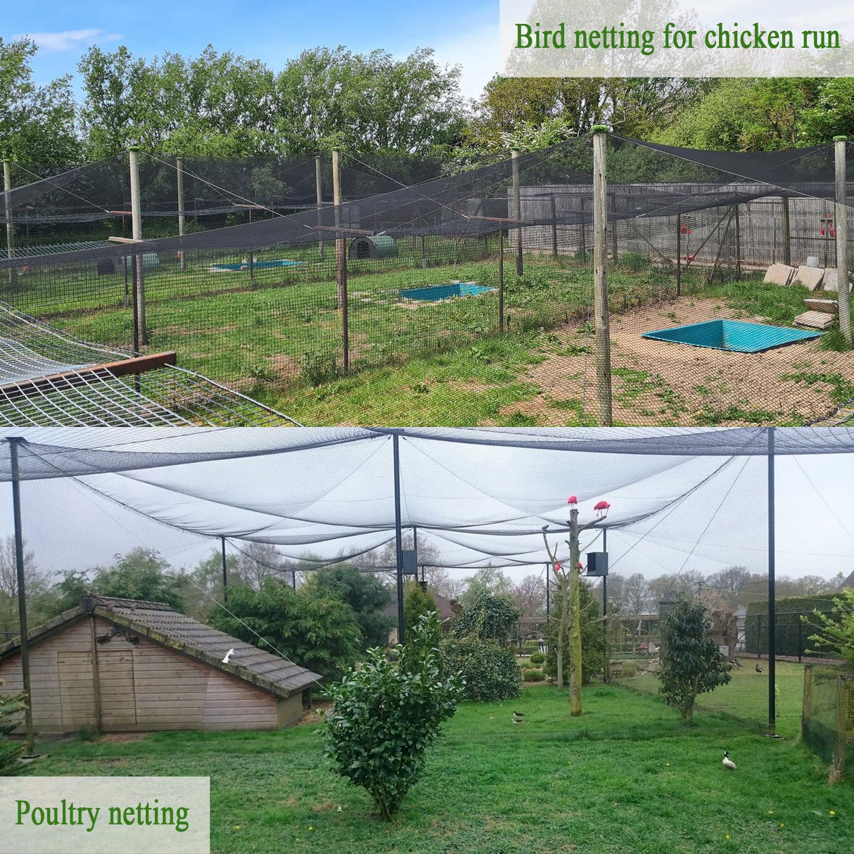 Vocray Bird Netting for Chicken Coop 25x25 Ft, 1/2" Mesh Aviary Netting