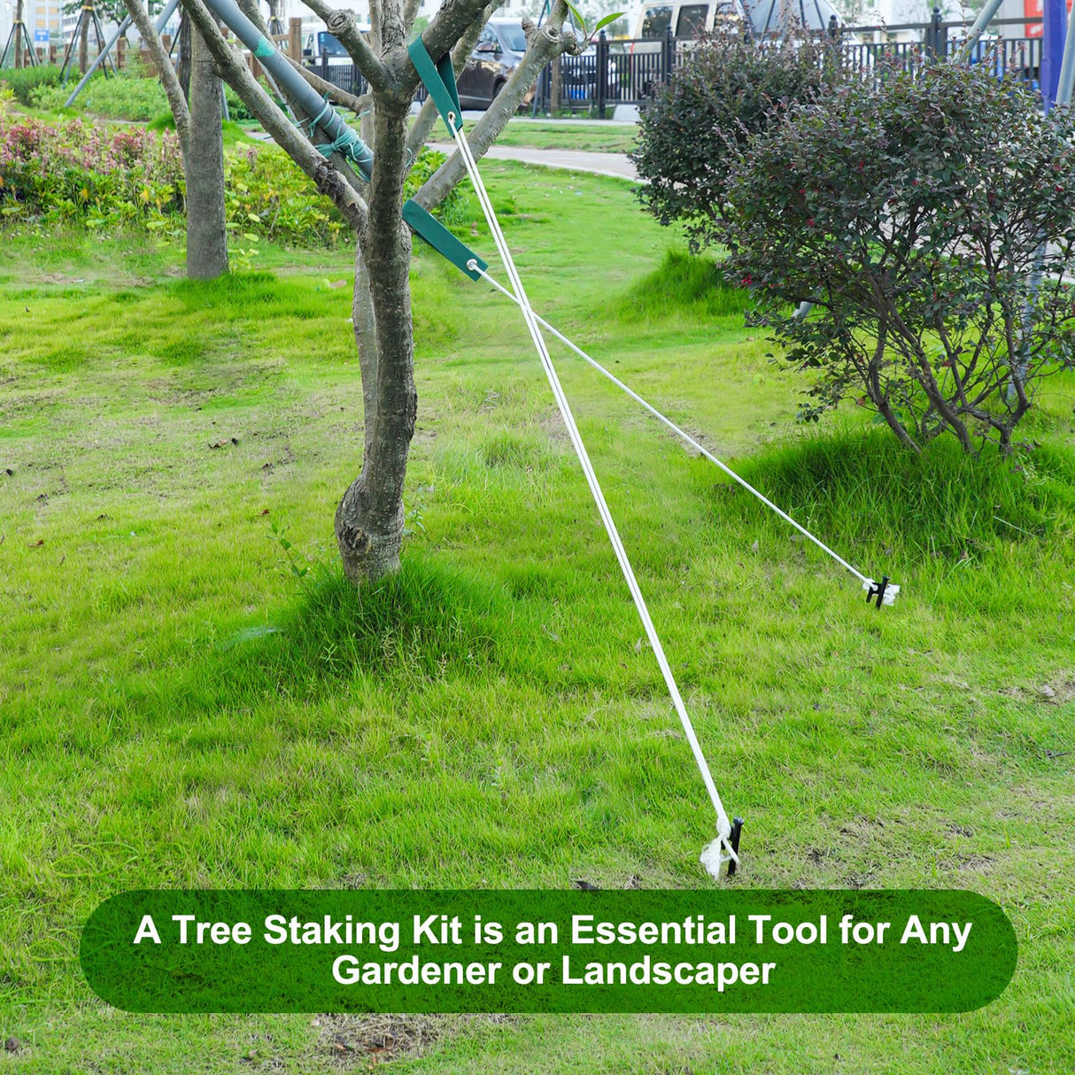 Jevrench Tree Stake Kits, Heavy Duty Tree Stakes and Supports Kits for Young Trees Against Bad Weather, 6 Pcs Tree Stake, 6 Pcs Tree Straps, 2 x 32.8 FT Rope