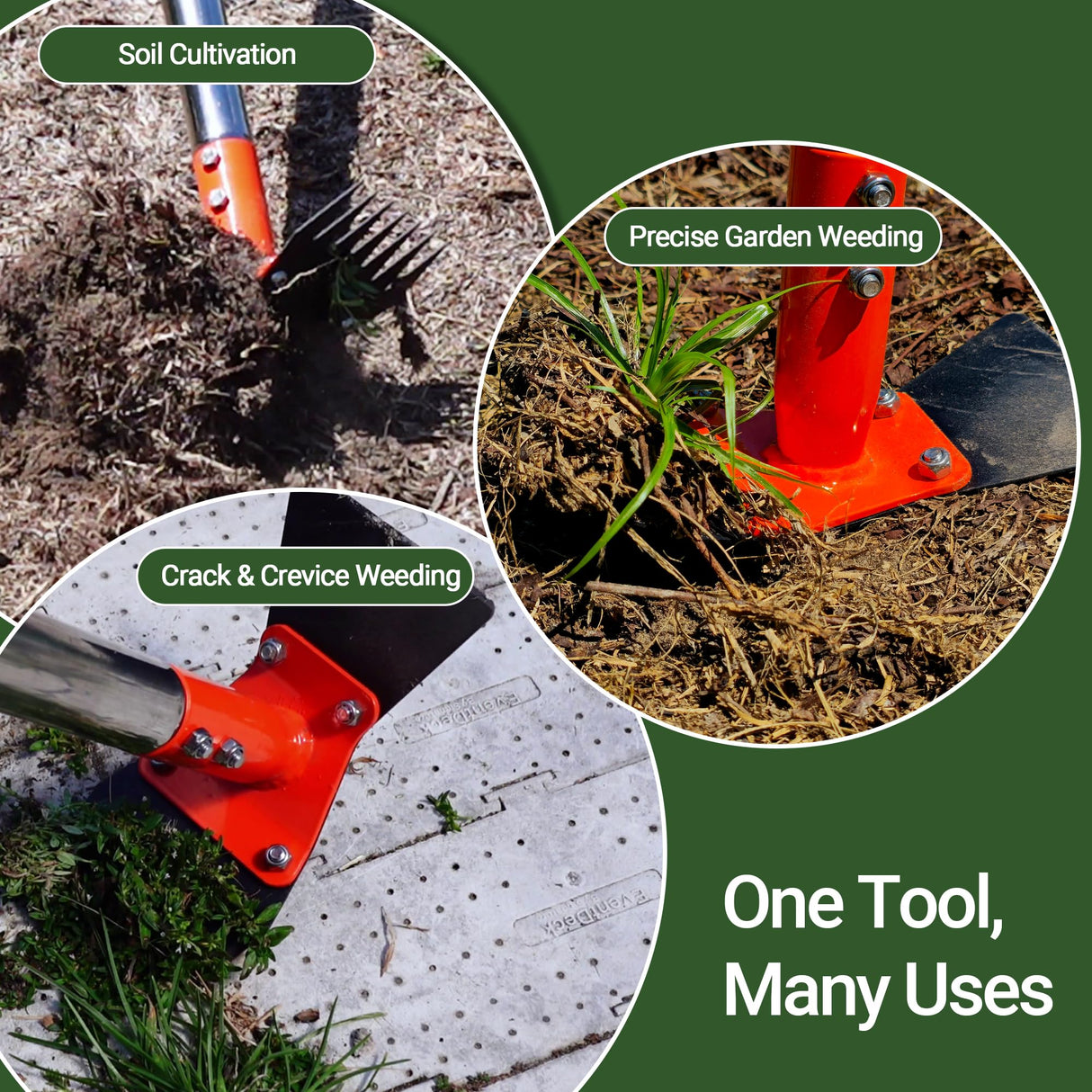 CKLT 2-in-1 Garden Hoe and Weed Puller Rake 60 Inch Spring Steel Head