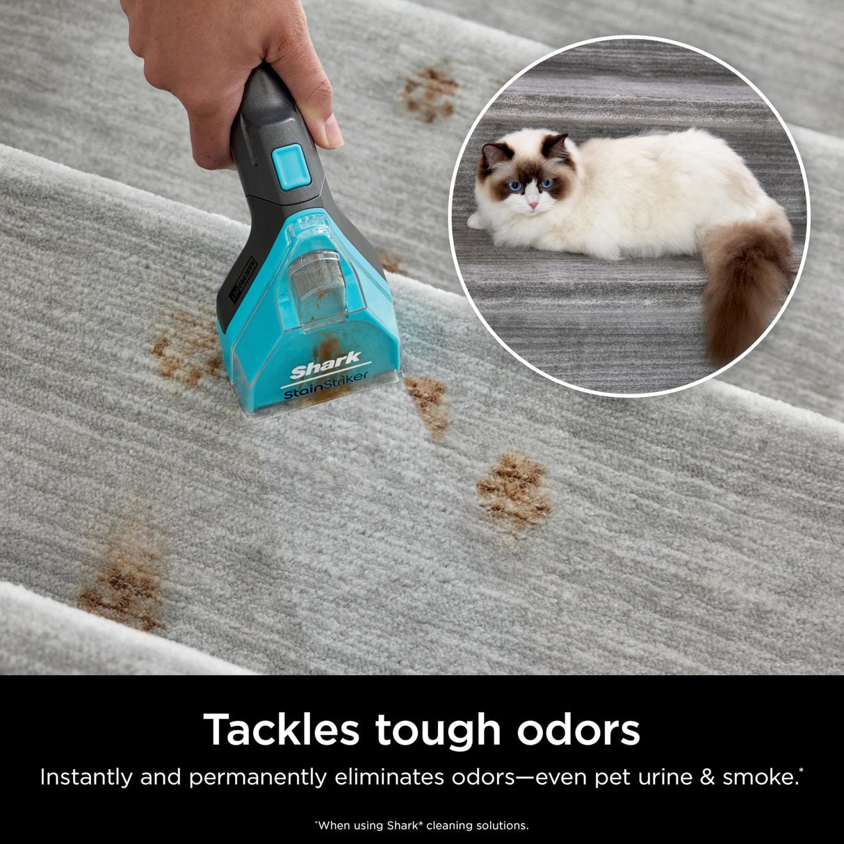 Shark StainStriker Pet Bundle for All StainStriker Portable Carpet Cleaners, Includes 32oz OXY Multiplier formula and 16oz Deep Clean Pet formula, PXCPBUNDLE