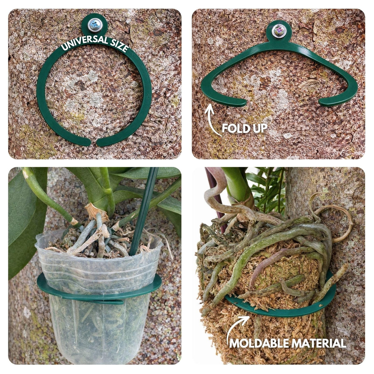OrchidHug Universal Orchid Mounting Ring – Open Adjustable Design Fits All Orchid Sizes | Mount Orchids on Trees or Walls | Flexible Green Coated Steel with Stainless Screws | Easy Install | 4 Pack