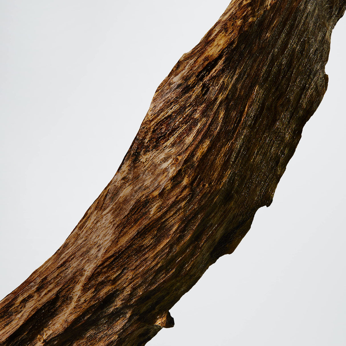 LACOSTE L.12.12 Blanc Eau De Parfum for Men - Father's Day Gift