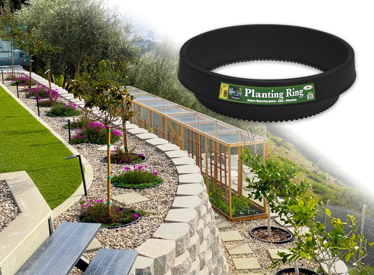3-Pack 24-inch Tree Planting Rings – Deep Root Watering Basin & Edging.
