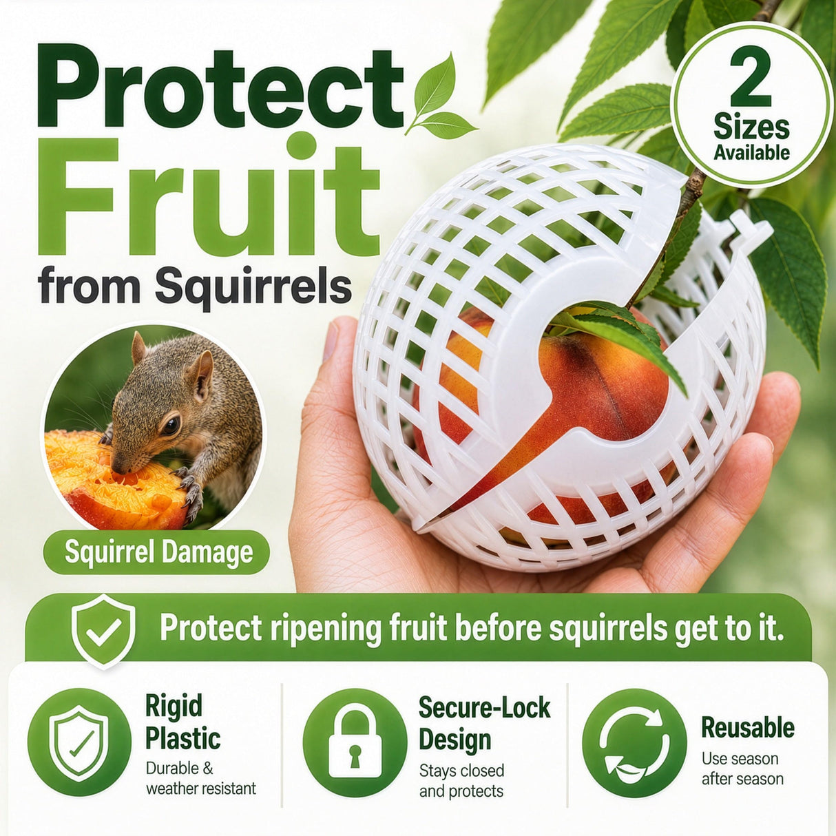 Rooted Promise Fruit Protection Cages for Peaches and More | 2026 Improved Secure-Lock Design | Small 4x5 Inch | 12 Pack | Squirrel Resistant | Reusable Heavy-Duty Plastic | Made in USA