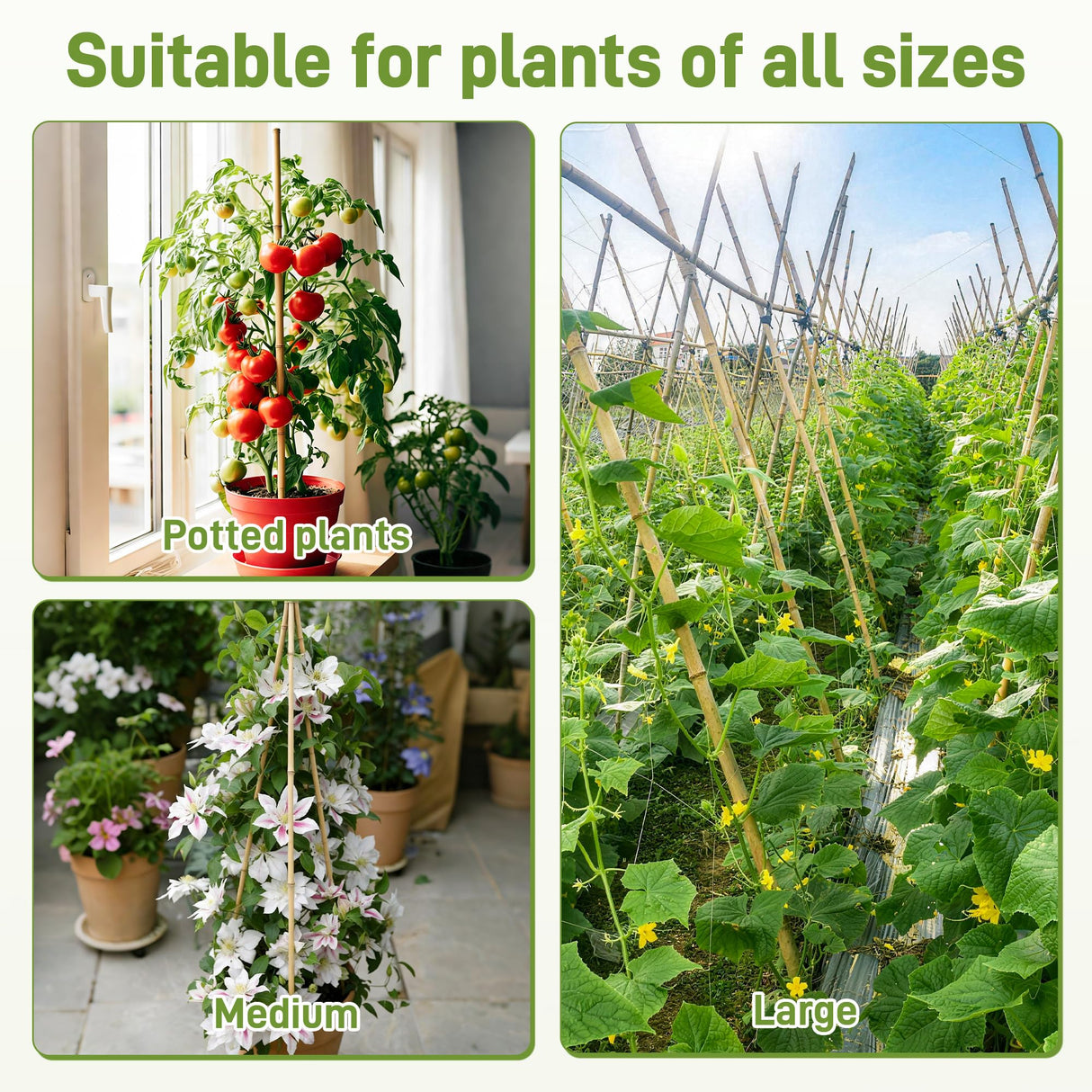0.32”-0.4"/ 4 Feet Garden Stakes, Natural Bamboo Sticks Plant Stakes for Indoor and Outdoor Plants,Poles for Tomatoes, Beans, Potted Plants(50Pcs)