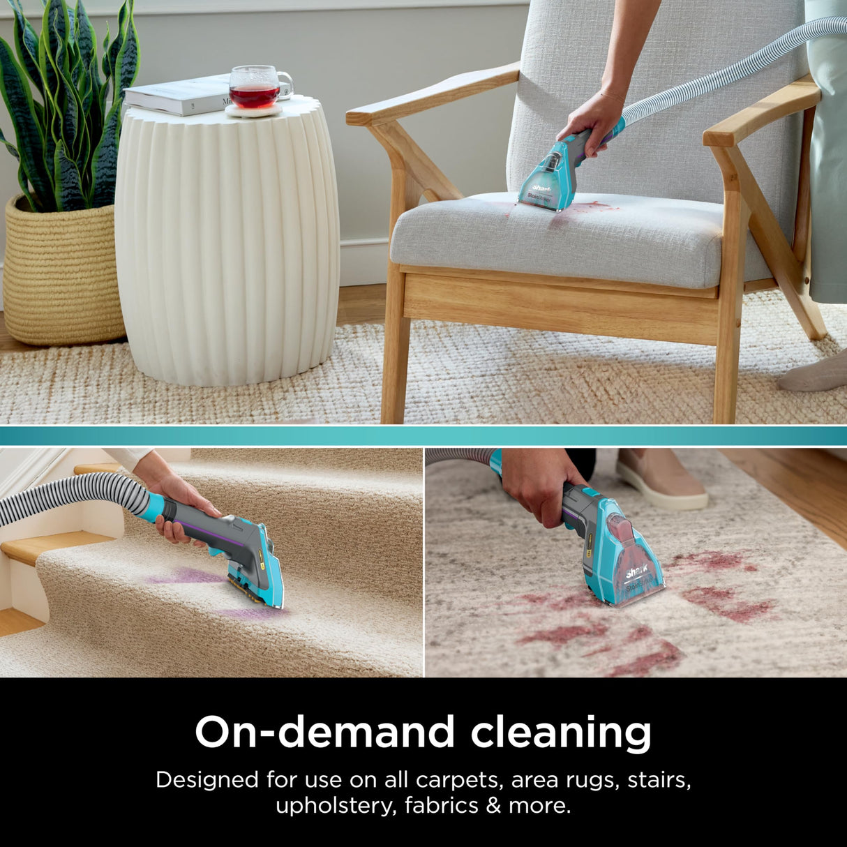 Shark CarpetXpert Deep Clean Pro Formula for All Shark Upright & Portable Carpet Cleaners, Formulated for all Carpets, Upholstery & Area Rugs, Eliminates Tough Pet Messes and Odors, 48oz, EXCM48