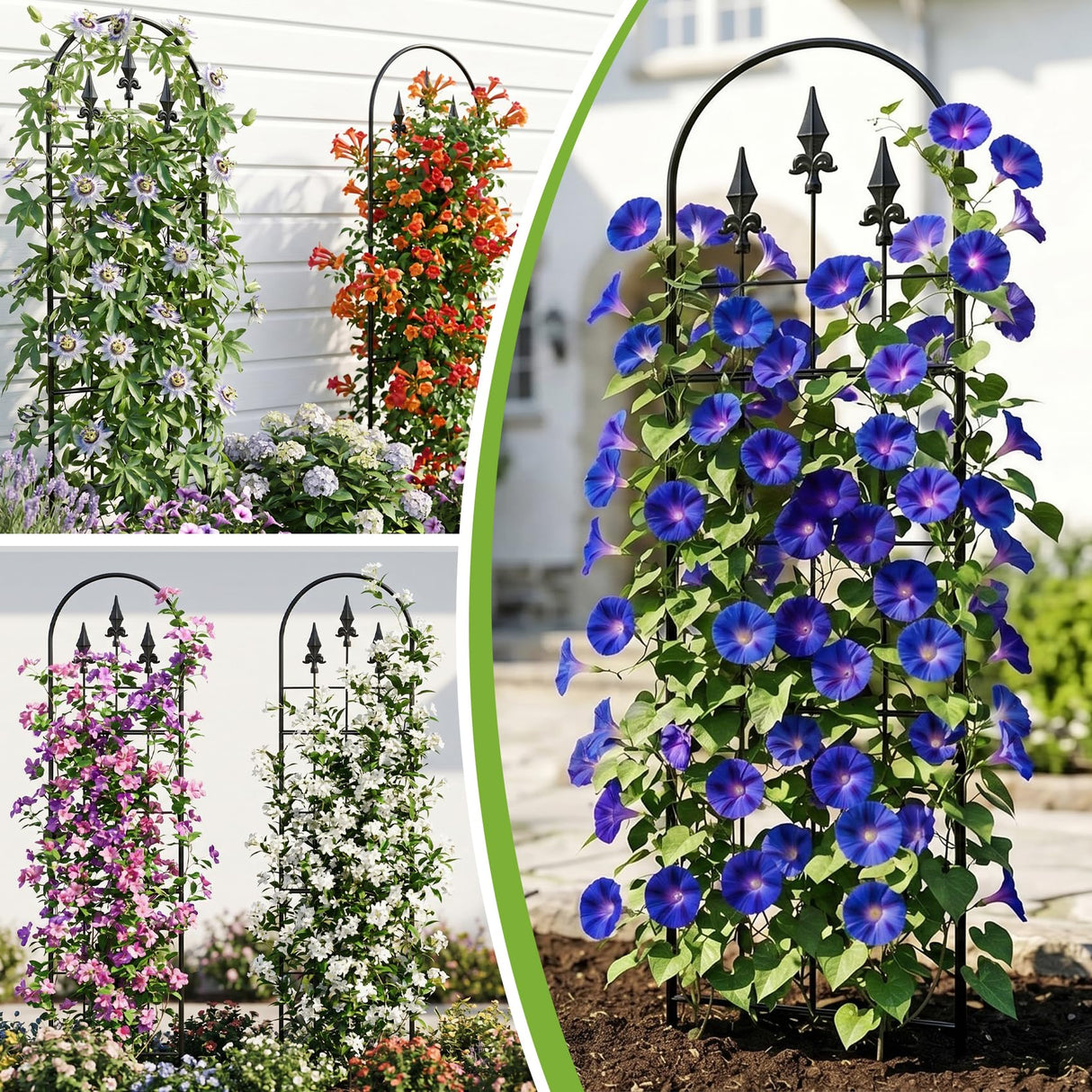 LATIHUUM 2 Pack 57.8" H x13 W Garden Trellis for Climbing Plants Outdoor, Rustproof Arched Metal Rose Trellis for Outdoor Indoor Roses Clematis Potted Climbing Plants Vines Flowers Decorative, Black