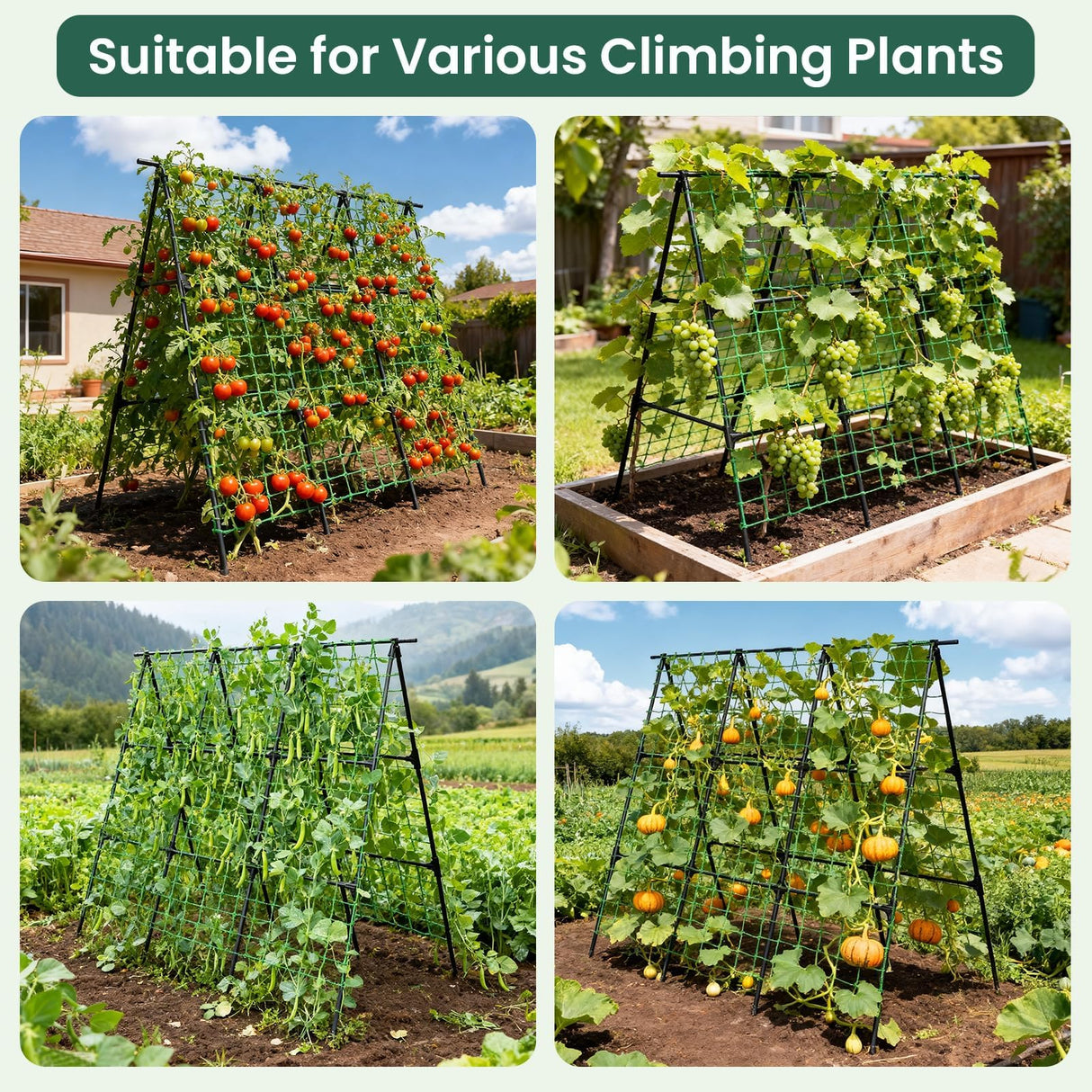 OTOSUNNY Cucumber Trellis for Raised Garden Bed, 50 x 48 in, Black