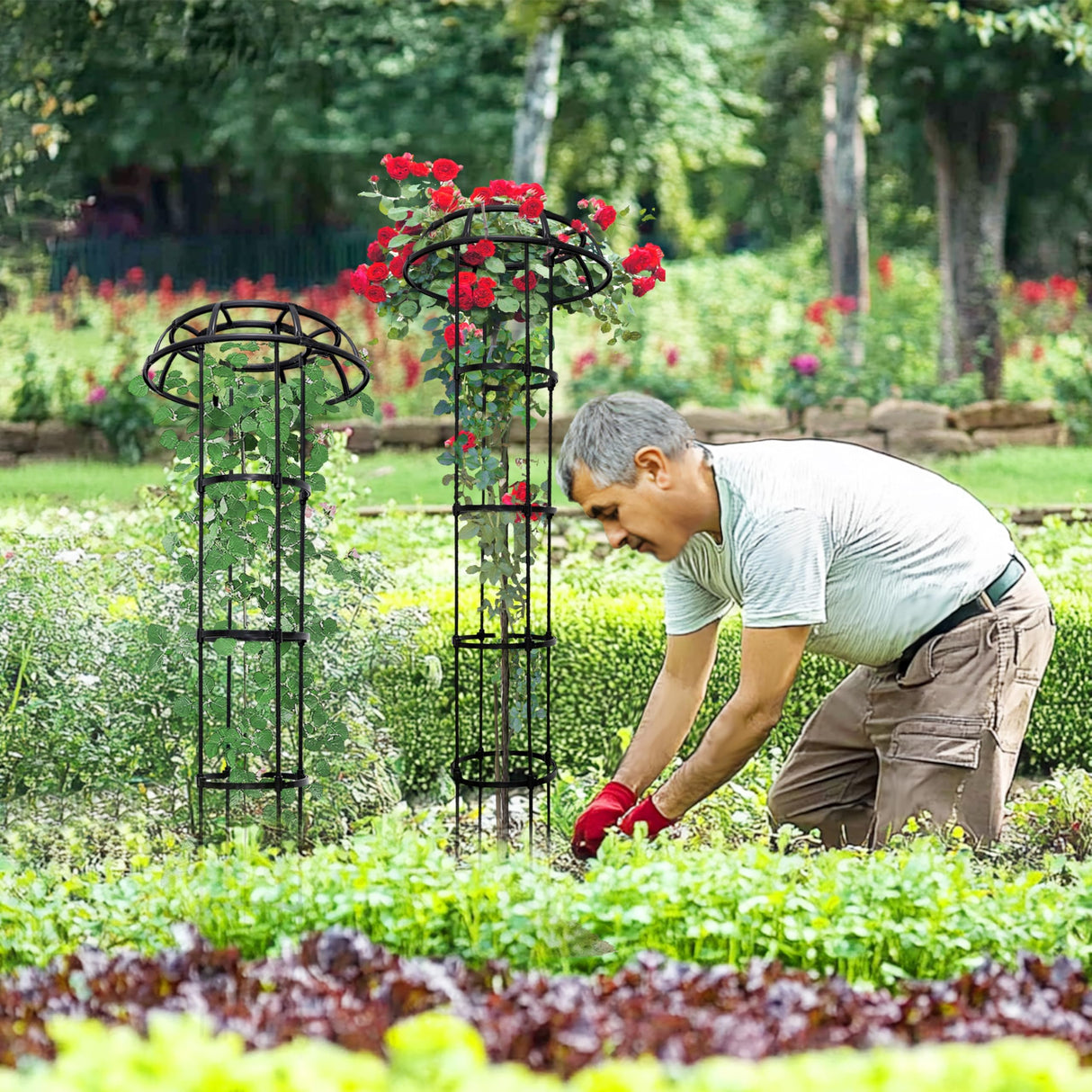 Mushroom Obelisk Trellis for Climbing Plants Outdoor 65", Adjustable Weatherproof Garden Umbrella Plant Trellis Support for Rose, Clematis, Cucumber, Pole Beans, Potted Plants, Yard Patio, 1 Pack