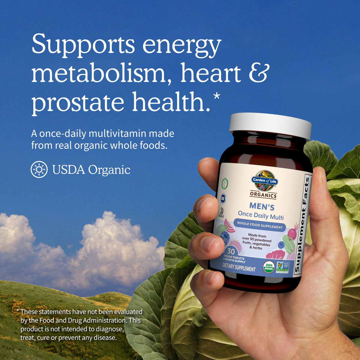 Garden of Life Organics Men's Once Daily Multivitamin, 60 Tablets