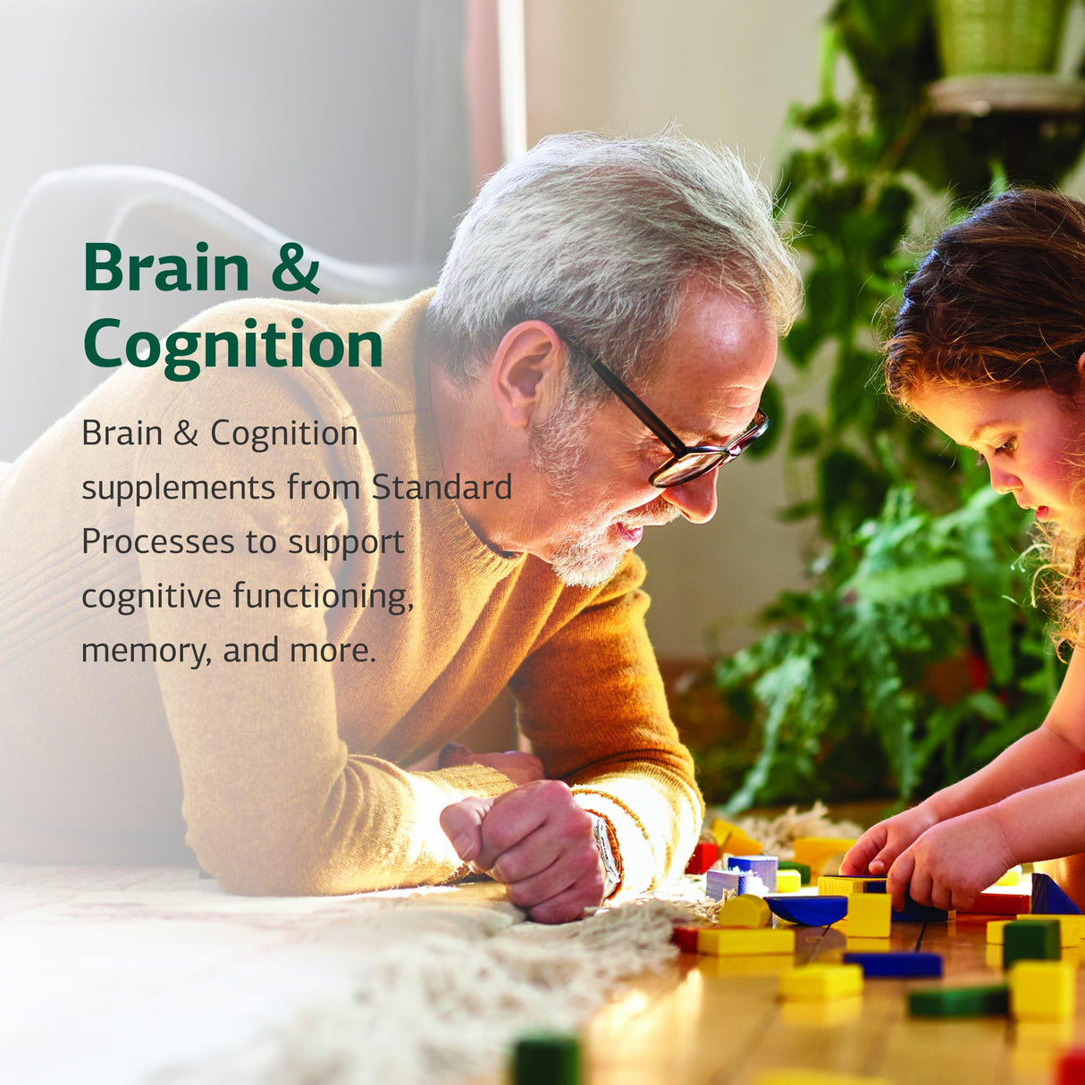 Standard Process Inc. Neuroplex - Whole Food Nervous System Supplements, Brain Health and Brain Support with Thiamin, Spanish Moss, Riboflavin, Calcium Lactate, Vitamin B6, Niacin - 90 Capsules