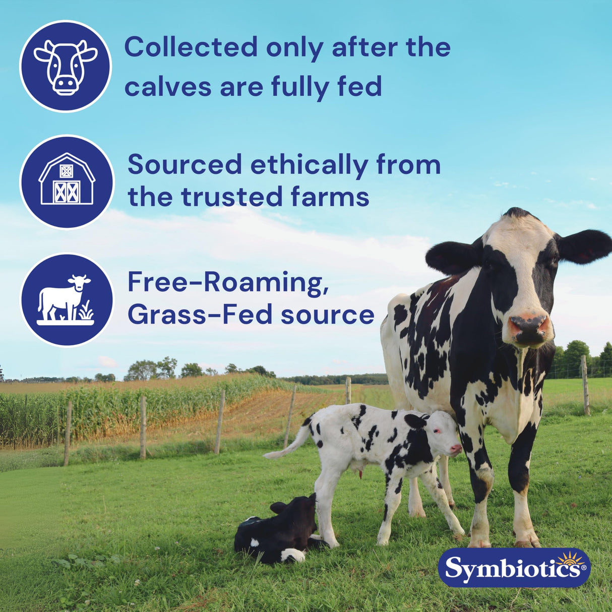 Symbiotics Colostrum Plus Powder 21 oz (597 g) - Immunity Support - Promotes Athletic Performance and Optimal Iron Levels - Immunoglobulin - 25% lgG Antibodies - Gluten Free