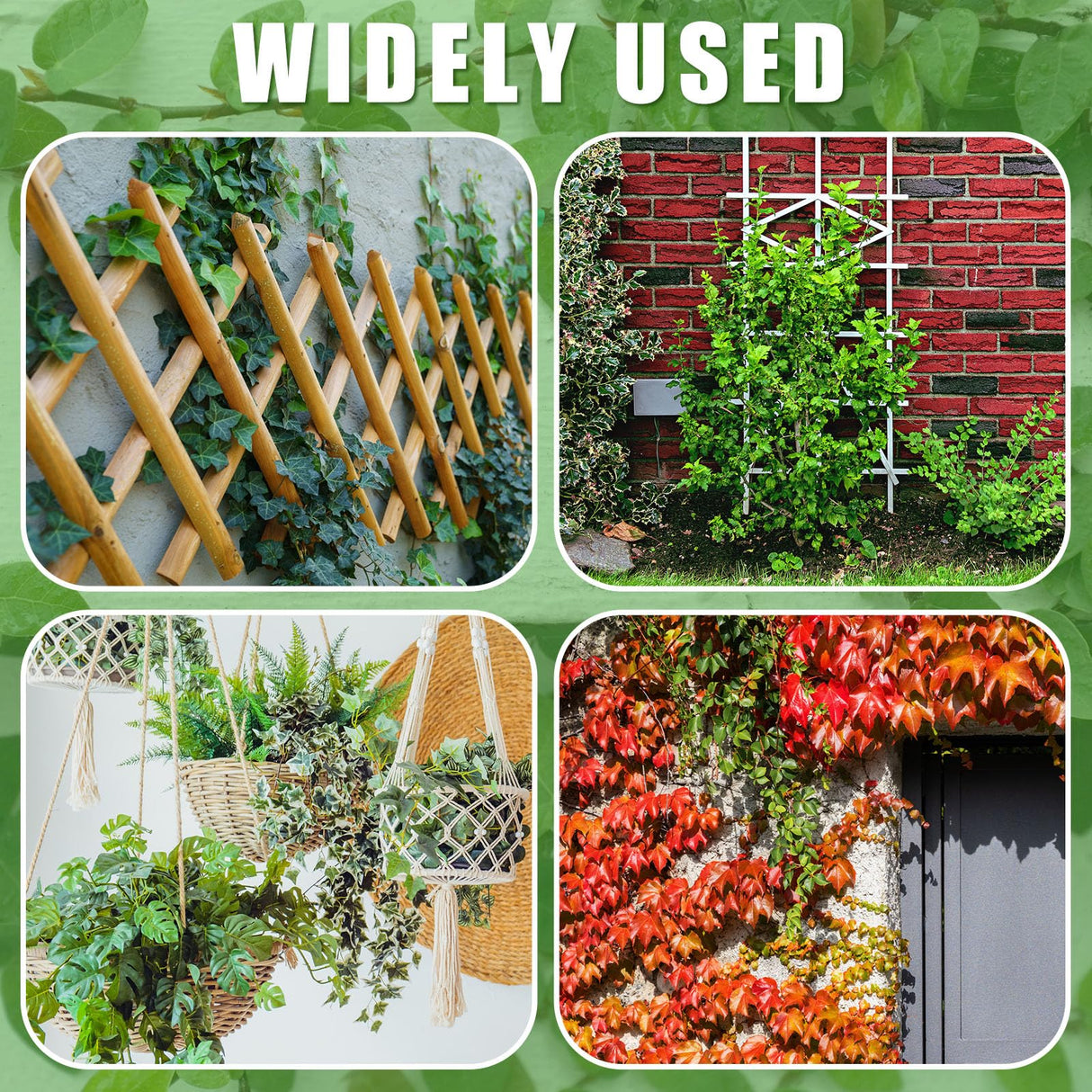 WILLBOND 350 Feet Plants Trellis Training Wire 2 Rolls Trellis Wire for Climbing Plants for Garden Fence