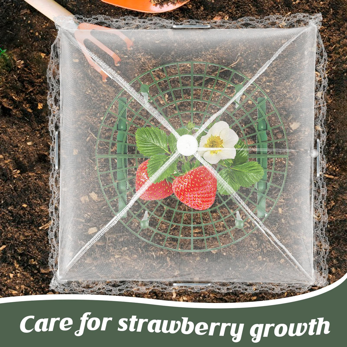 COZYDIG 4 Sets Strawberry Plant Support with Mesh Plant Cover,Strawberry Growing Racks Sets with Iron Plant Nails and Storage Bag for Garden Strawberry Vegetables(White Net - Round)