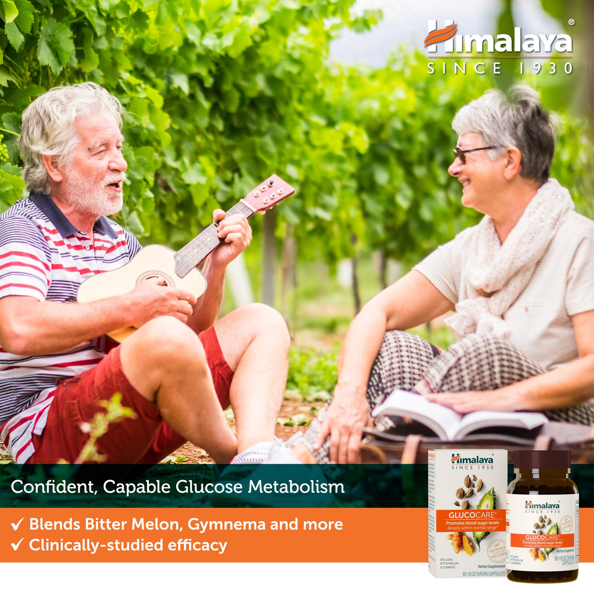 Himalaya GlucoCare, 3 Week Supply - Herbal Glucose Metabolism and Pancreatic Support with Triphala, Turmeric, Bitter Melon, and Gymnema - Vegan, Non-GMO, Gluten Free, 90 Capsules