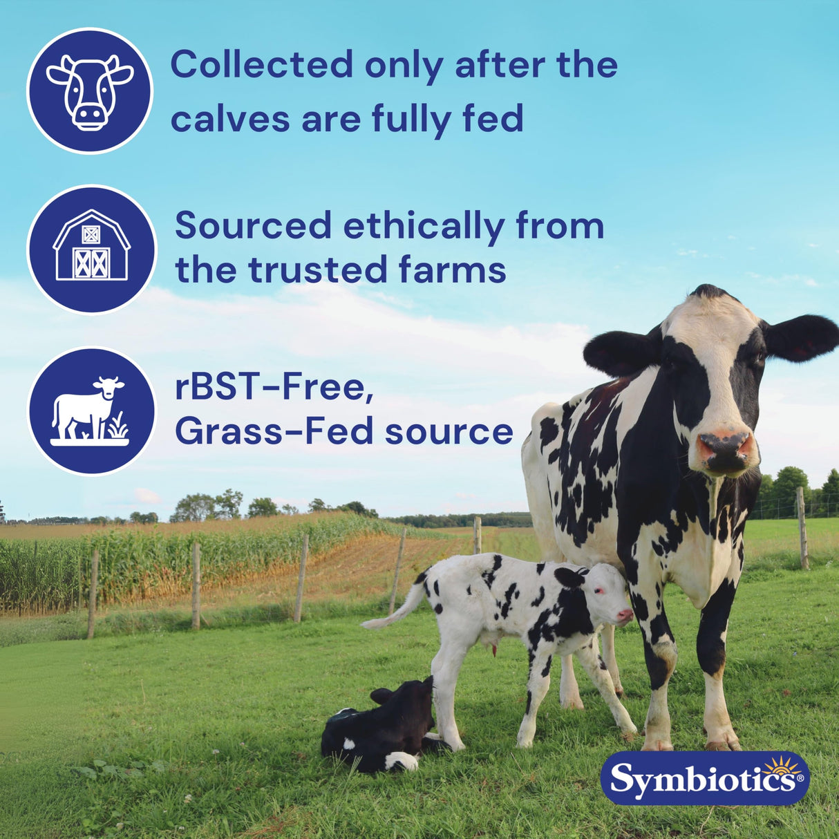 Symbiotics Colostrum 240ct Vegetable Capsules - Immunity Support - Lactoferrin Supplement & Colostrum Protein with Immunoglobulin - 25% lgG Antibodies - Gluten Free