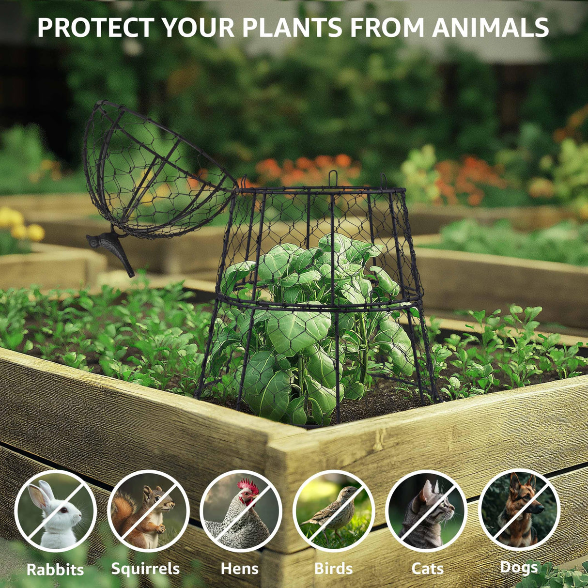 Garden Cloches for Plants, Large Plant Protectors from Animals, Pack 6