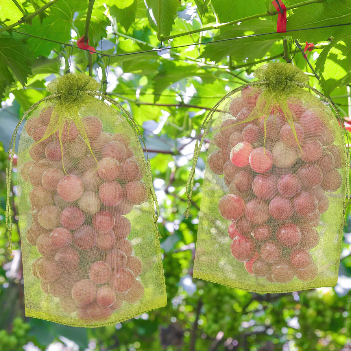 DECYOOL 120 Pcs Green Fruit Protection Bags 6x12 Drawstring Cover Bags
