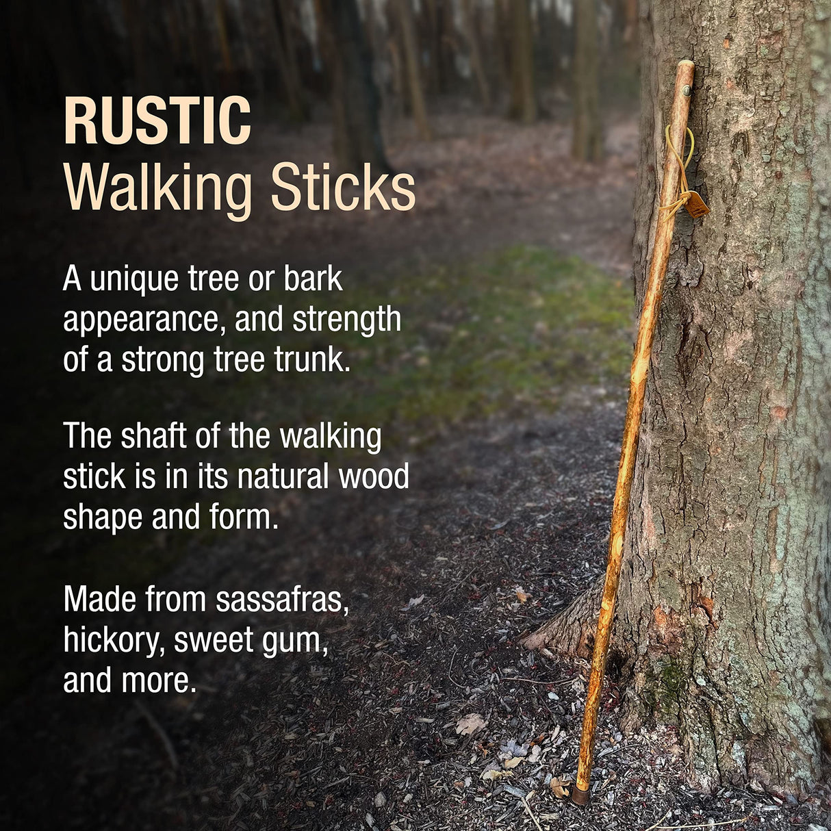 Brazos 48" Handcrafted American Hardwood Walking Stick for Men and Women, Made in The USA , 48 Inch