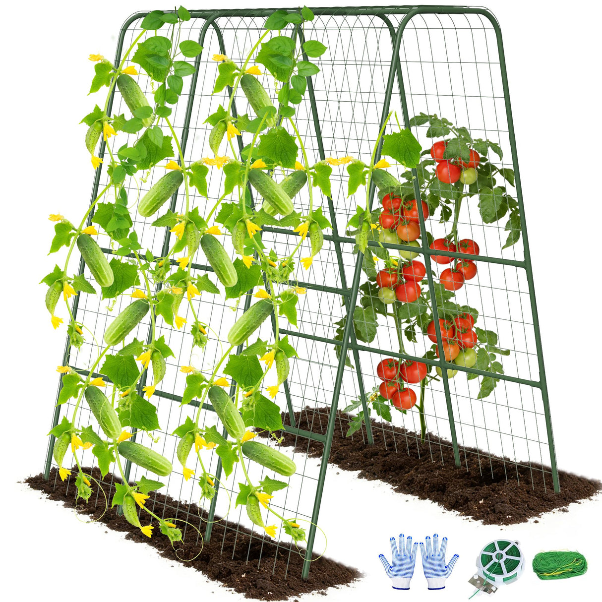 Cucumber Trellis for Raised Bed, 63" Heavy Duty U-Shape Garden Trellis for Climbing Plants Outdoor, Rustproof Plastic Metal Arch Vegetables Trellis Plant Support for Vine, Fruits, Beans and Flowers