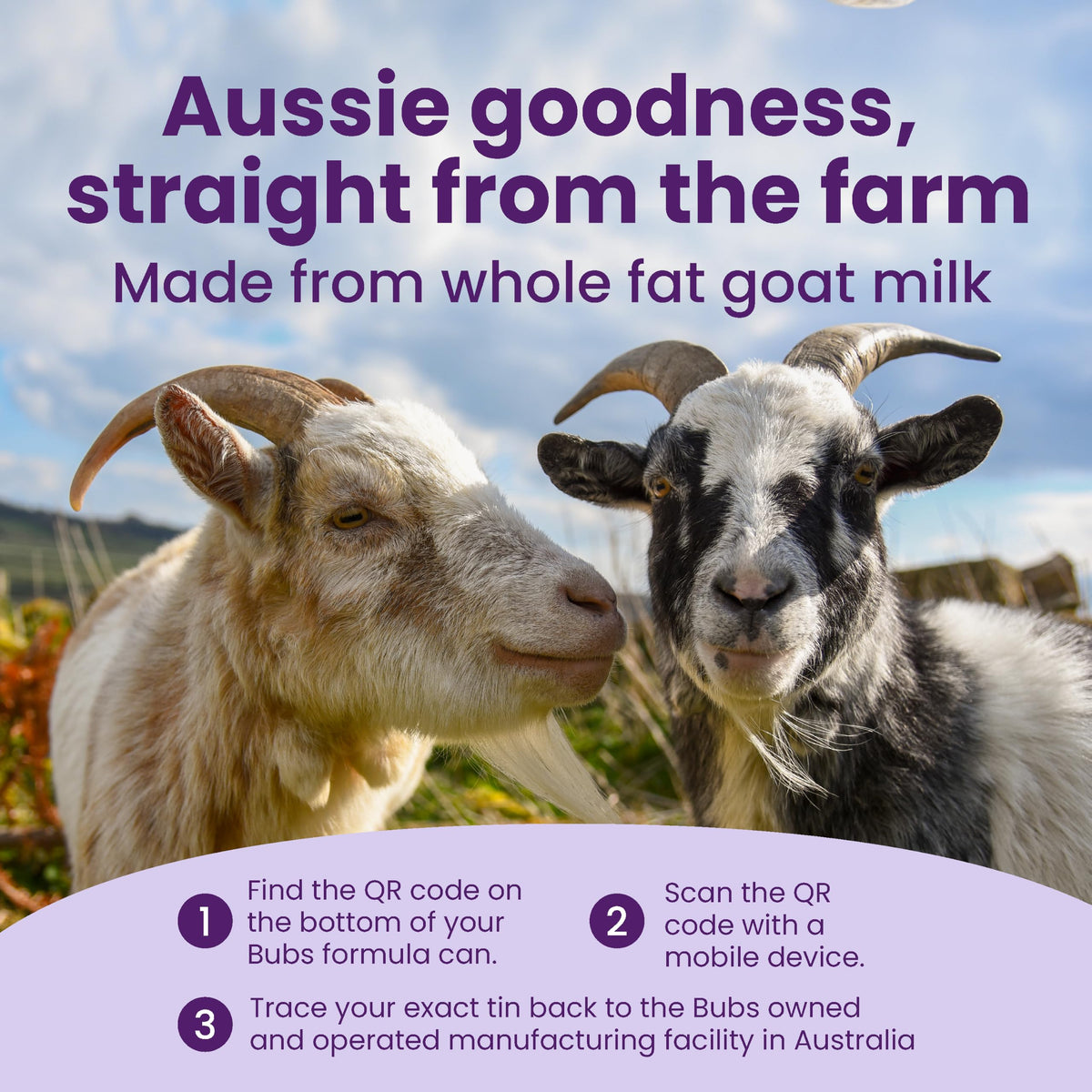 Bubs Whole Goat Milk Infant Formula for 0-12 Months, Non-GMO Milk, 20 oz