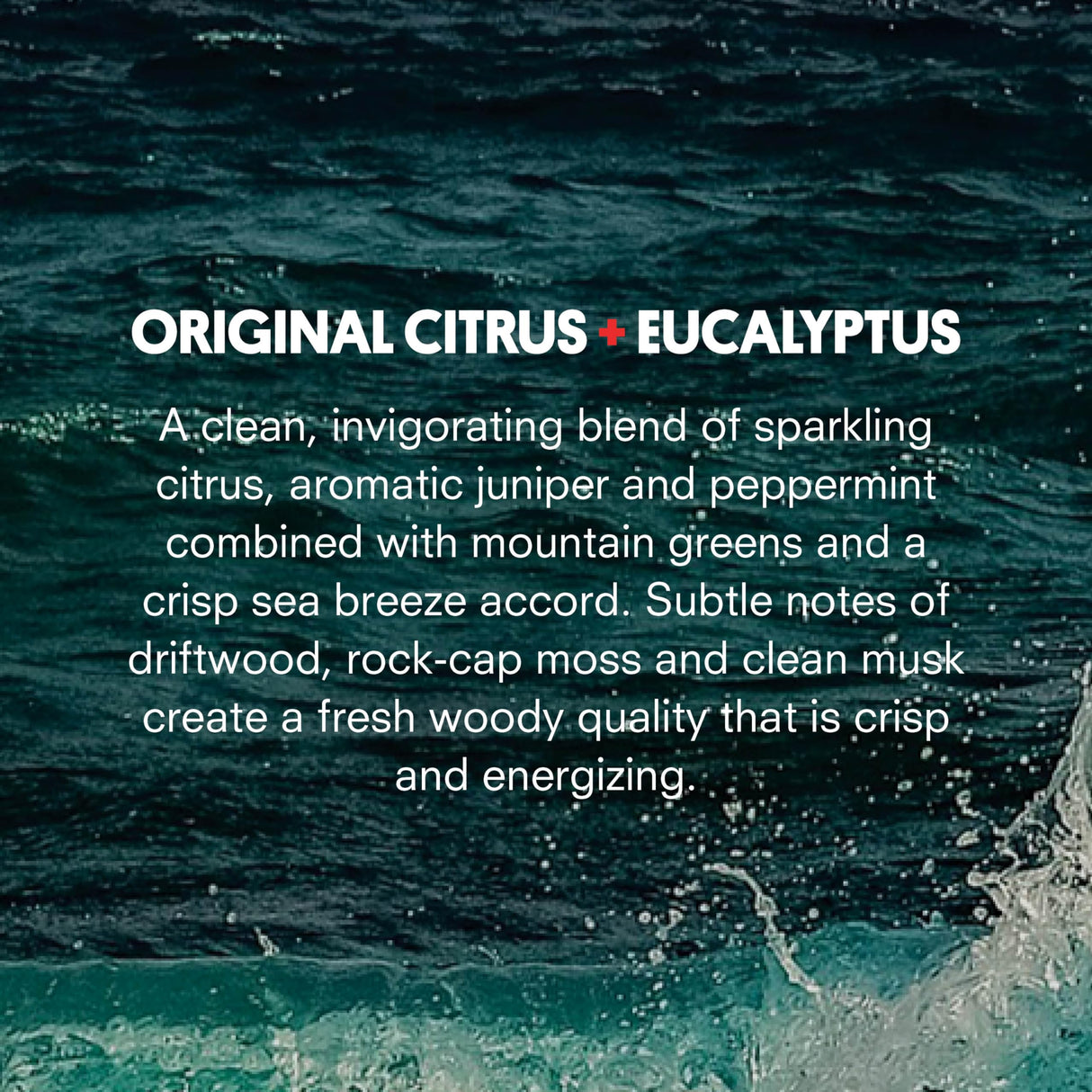 Huron Eau de Parfum - Everyday Fragrance for Men - Crisp & Invigorating Scent of Citrus, Eucalyptus, Mint, & Aromatic Greens - Long Lasting Men's Cologne - Safe, Clean Ingredients - 1.7 Fl. Oz.