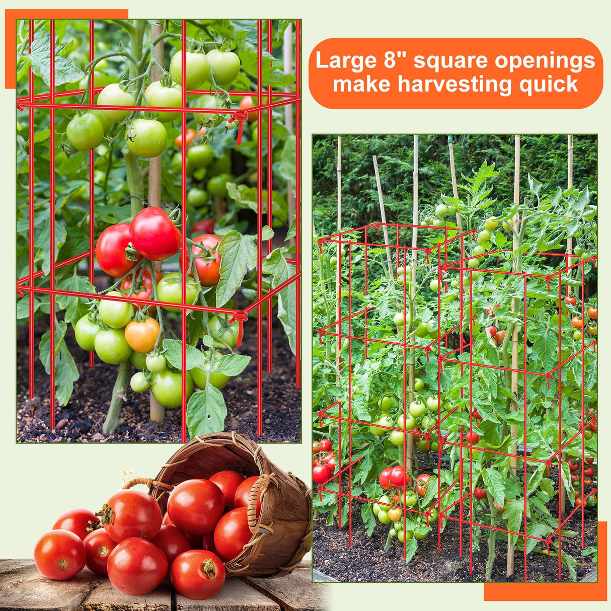 Colingmill 8 Pack Tomato Cages 39 Inch (H) Heavy Duty Square Tomato Cages Powder Coated Steel Plants Support Garden Trellis Stakes for Cucumber, Peas, Vegetables Climbing Plants