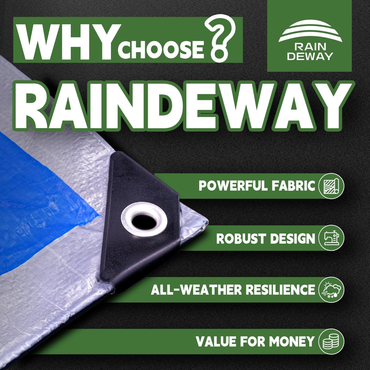 RAINDEWAY Tarps - 20x30 Feet, 5.5 Mil Thick, Multipurpose Waterproof Poly Tarp Cover with Metal Grommets and Reinforced Edges, Silver/Blue Large Tarp
