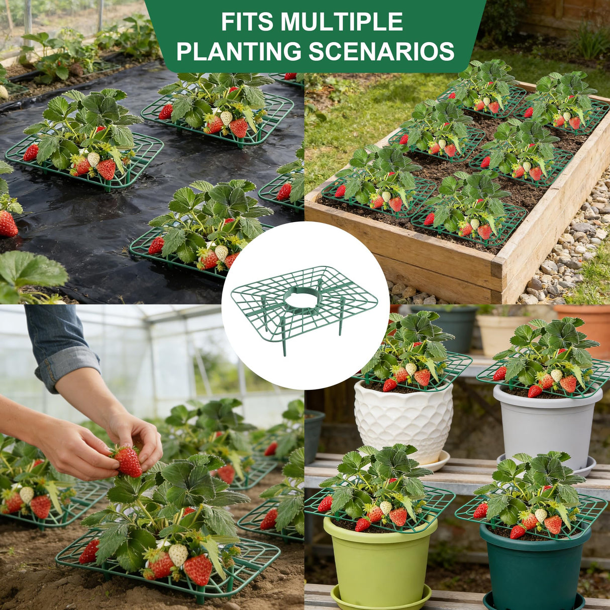 15Packs Strawberry Plant Support, Strawberry Plant Stand Holder Reusable Strawberry Plant Protector Greenhouse Strawberry Trellis Accessories Strawberry Planter for Strawberry Garden Plants