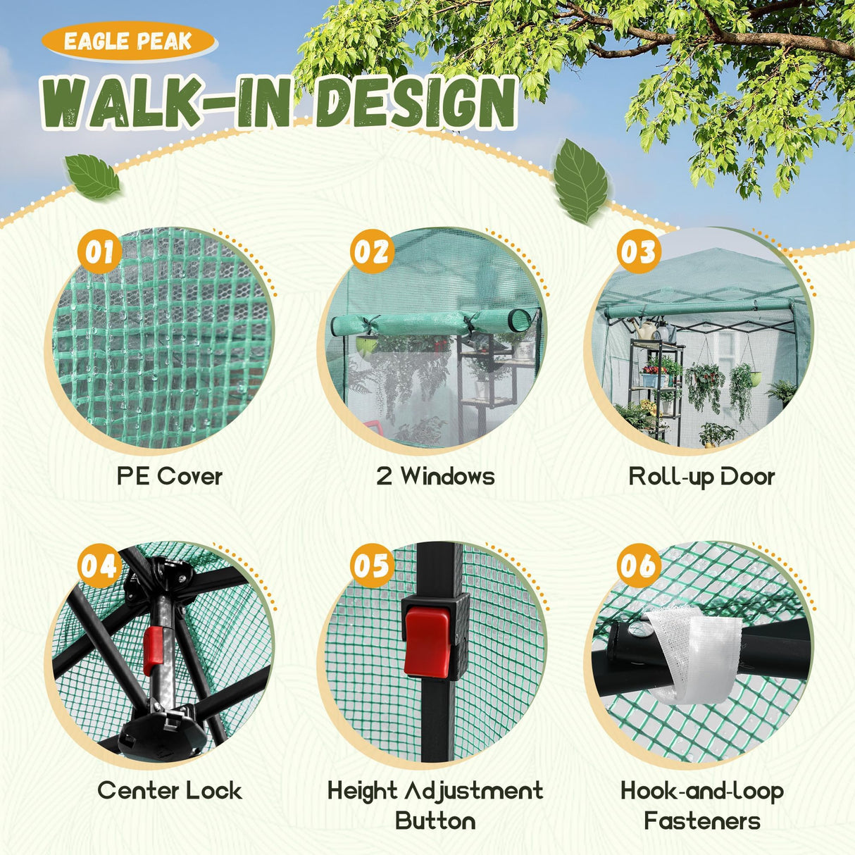 Devoko Walk-in Greenhouse, Instant Pop Up Green House for Outdoors with Zippered Door and 2 Roll-up Windows, PE Cover, Portable and Easy Assemble (Green, 8x6 Feet)