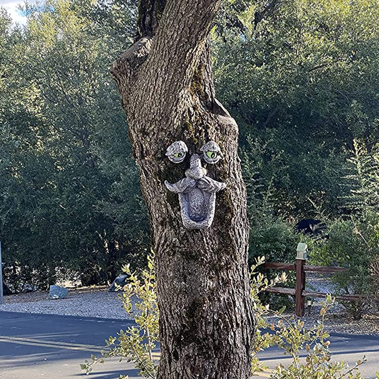 Aflowa Tree Faces Bird Feeder,Funny Old Man,Large